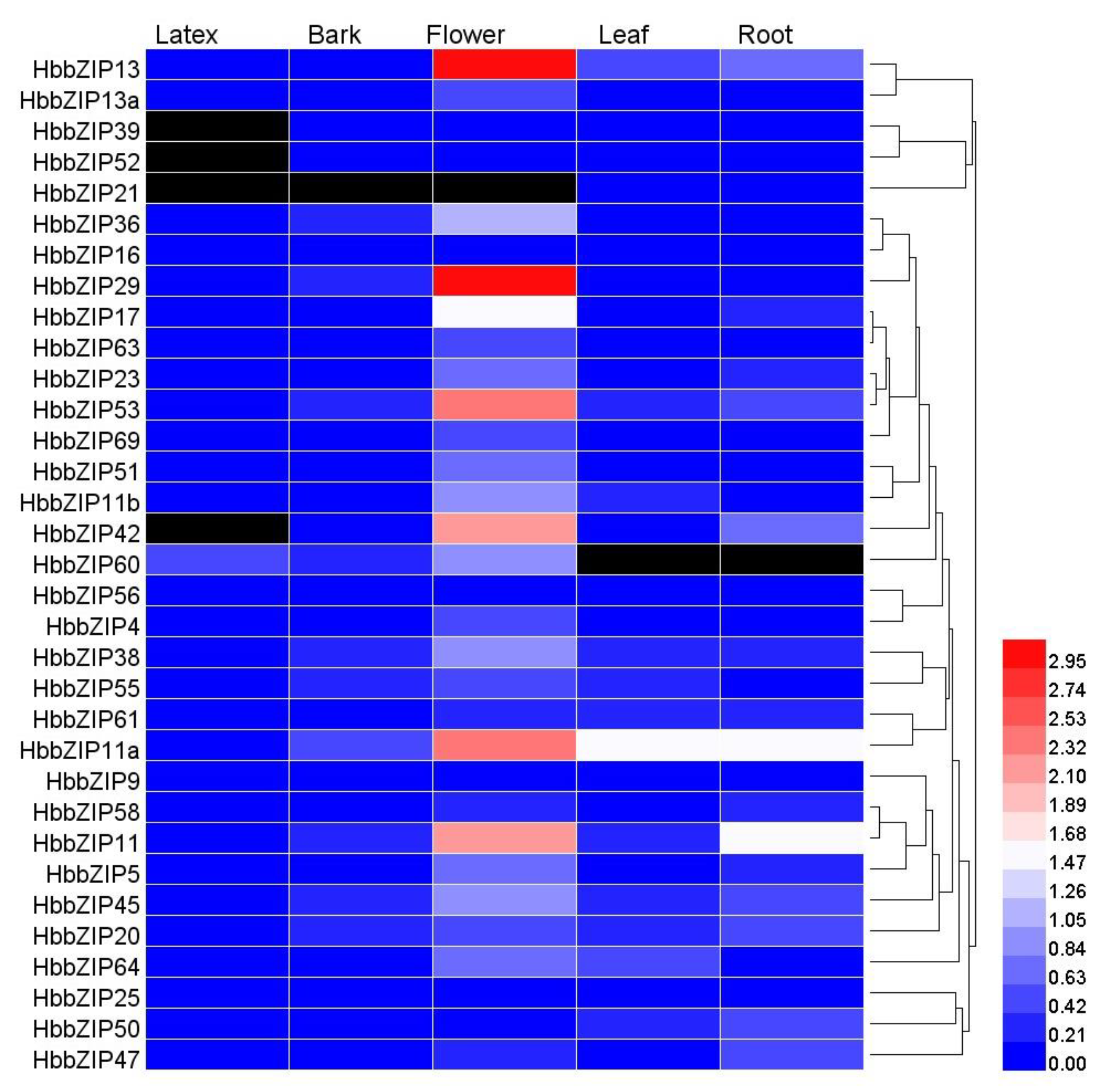 Forests 14 00556 g004