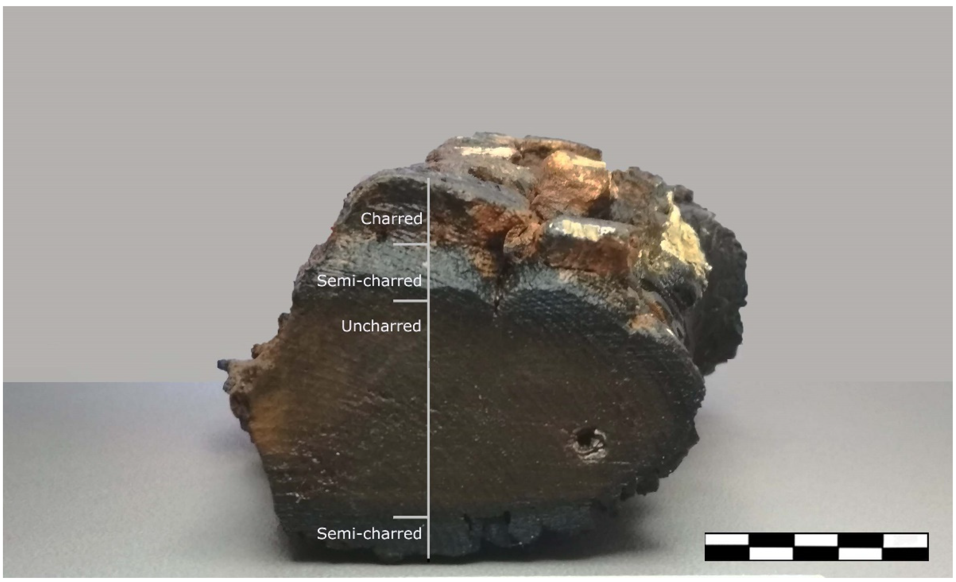 Forests 14 00560 g001