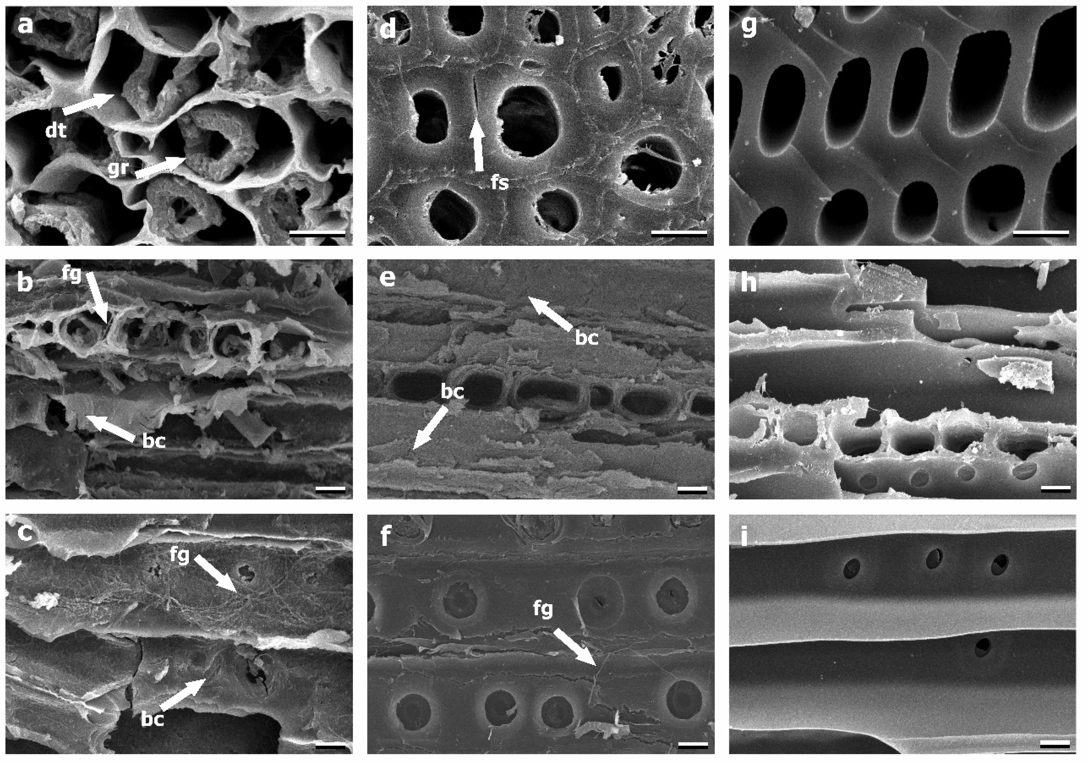 Forests 14 00560 g003