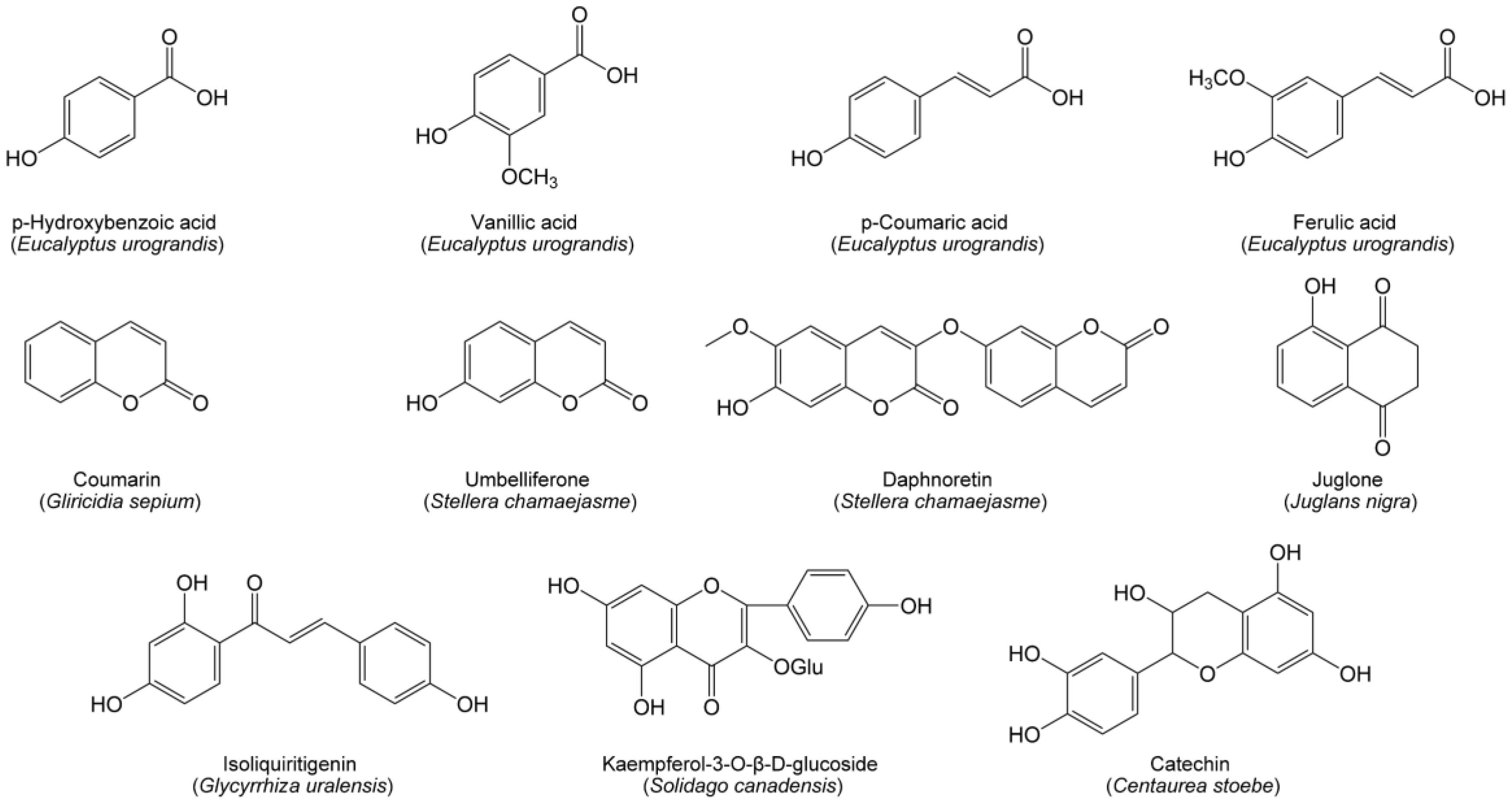 Forests 14 00562 g001 Forests 14 00562 g001
