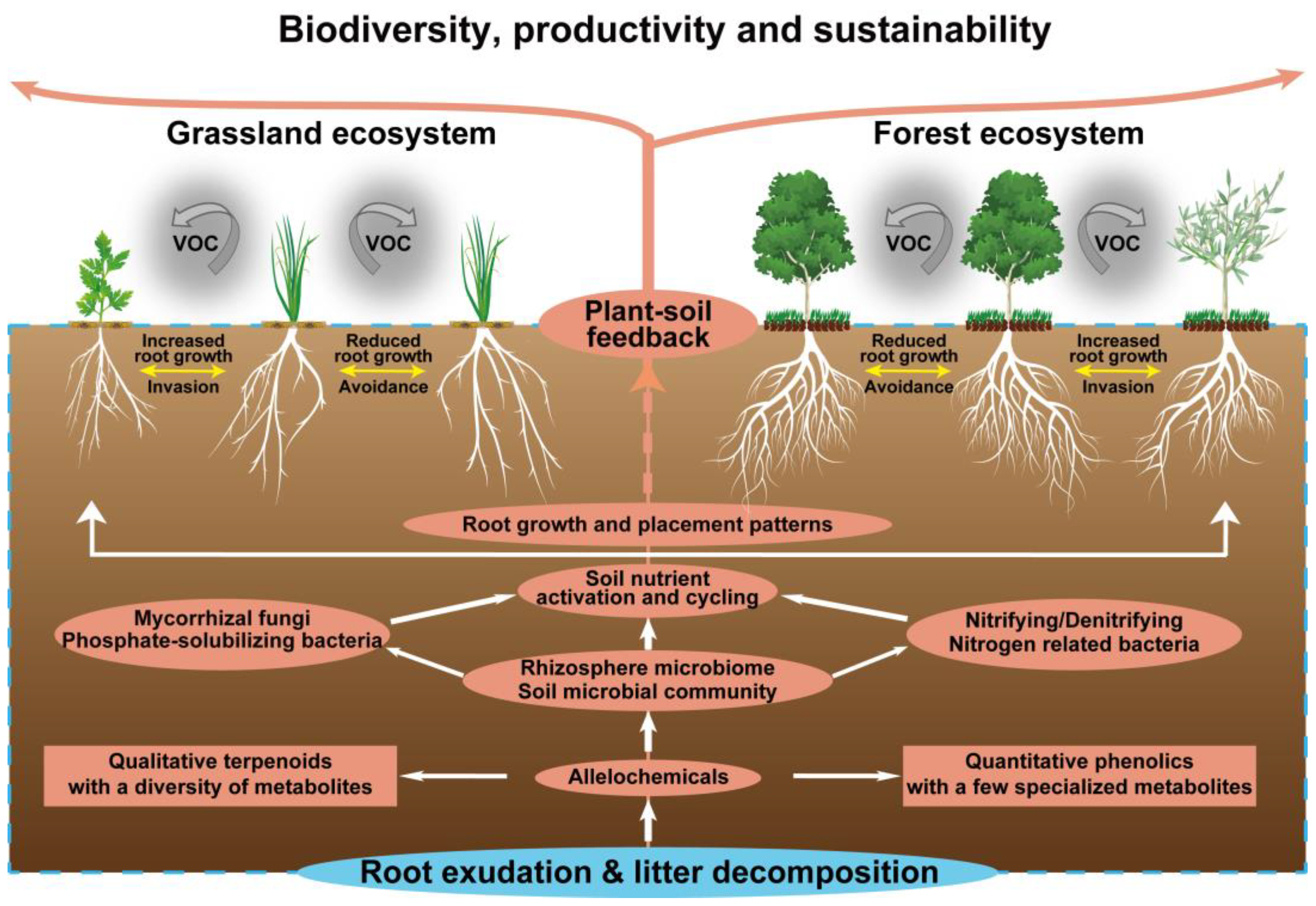 Forests 14 00562 g004 Forests 14 00562 g004