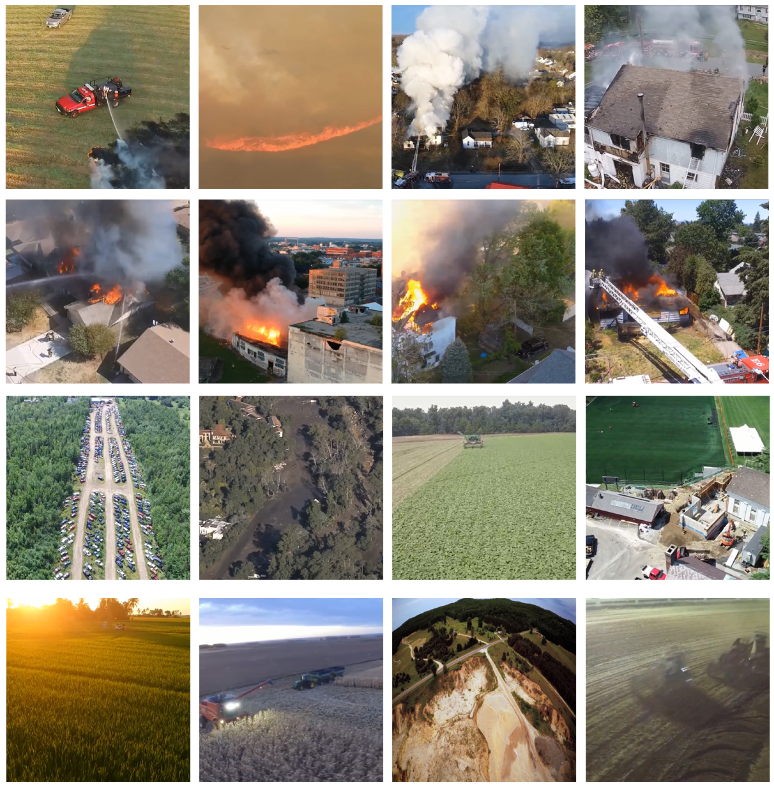 Forests 14 00563 g005