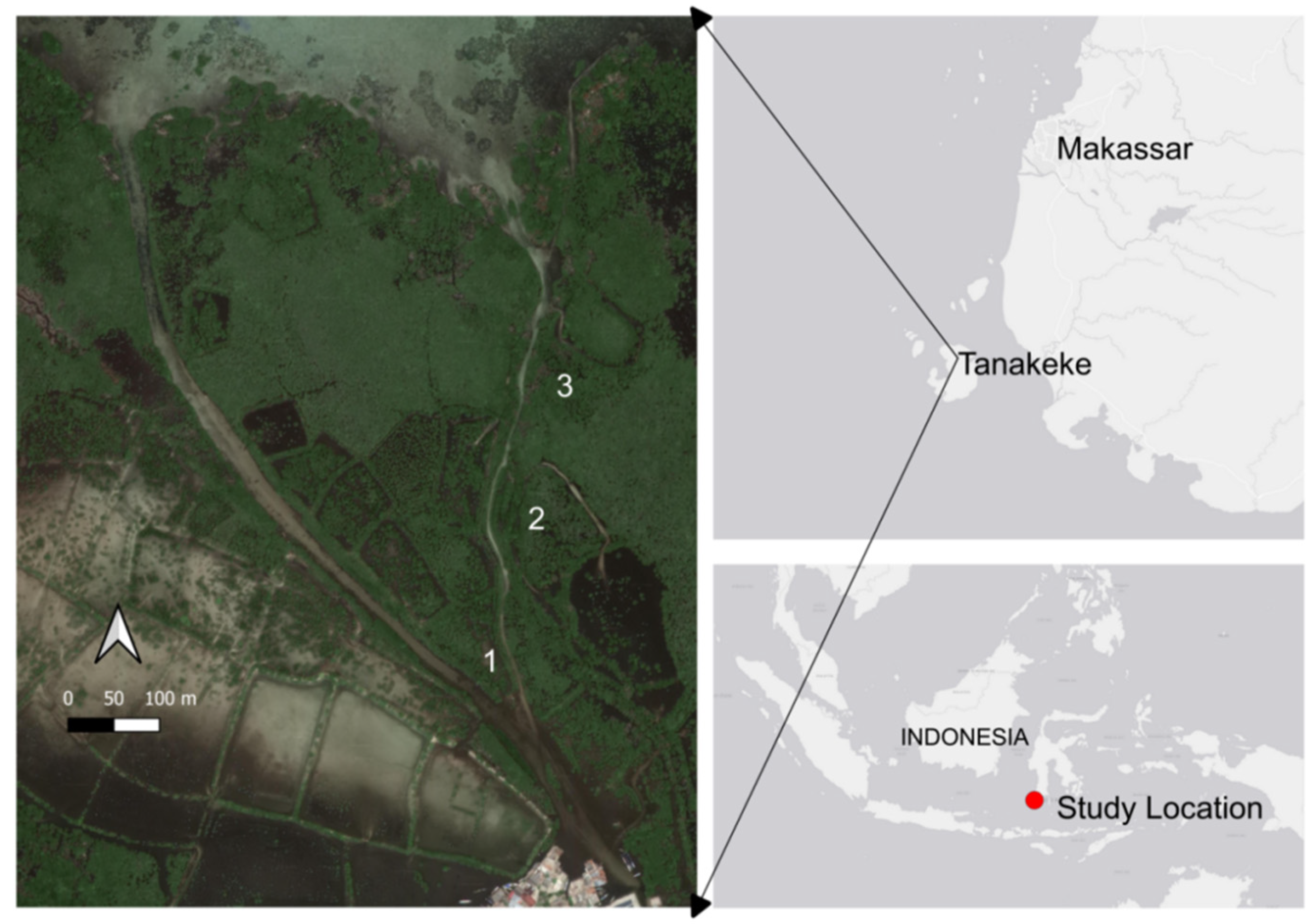 Forests 14 00564 g001 Forests 14 00564 g001