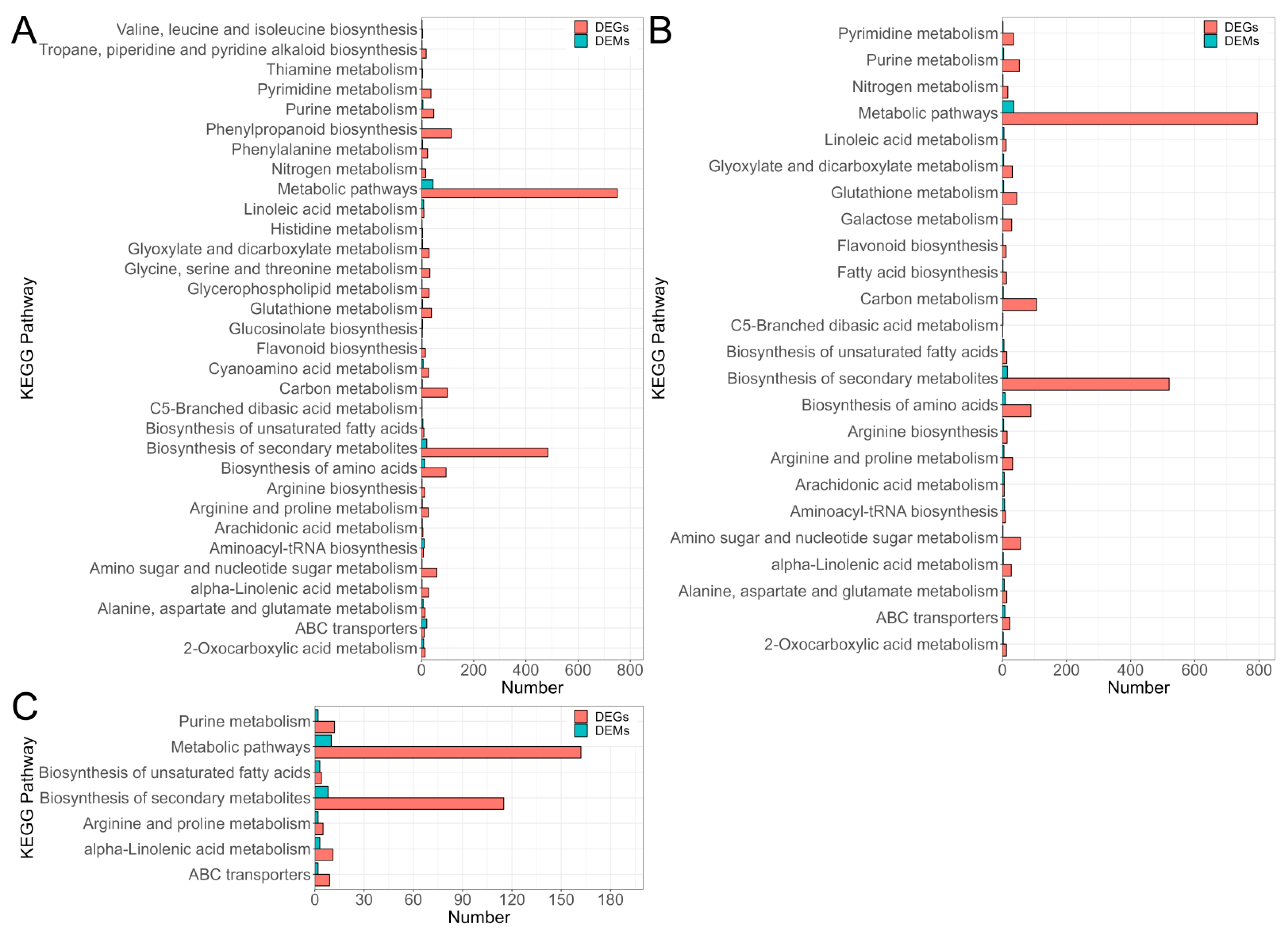 Forests 14 00568 g008 Forests 14 00568 g008