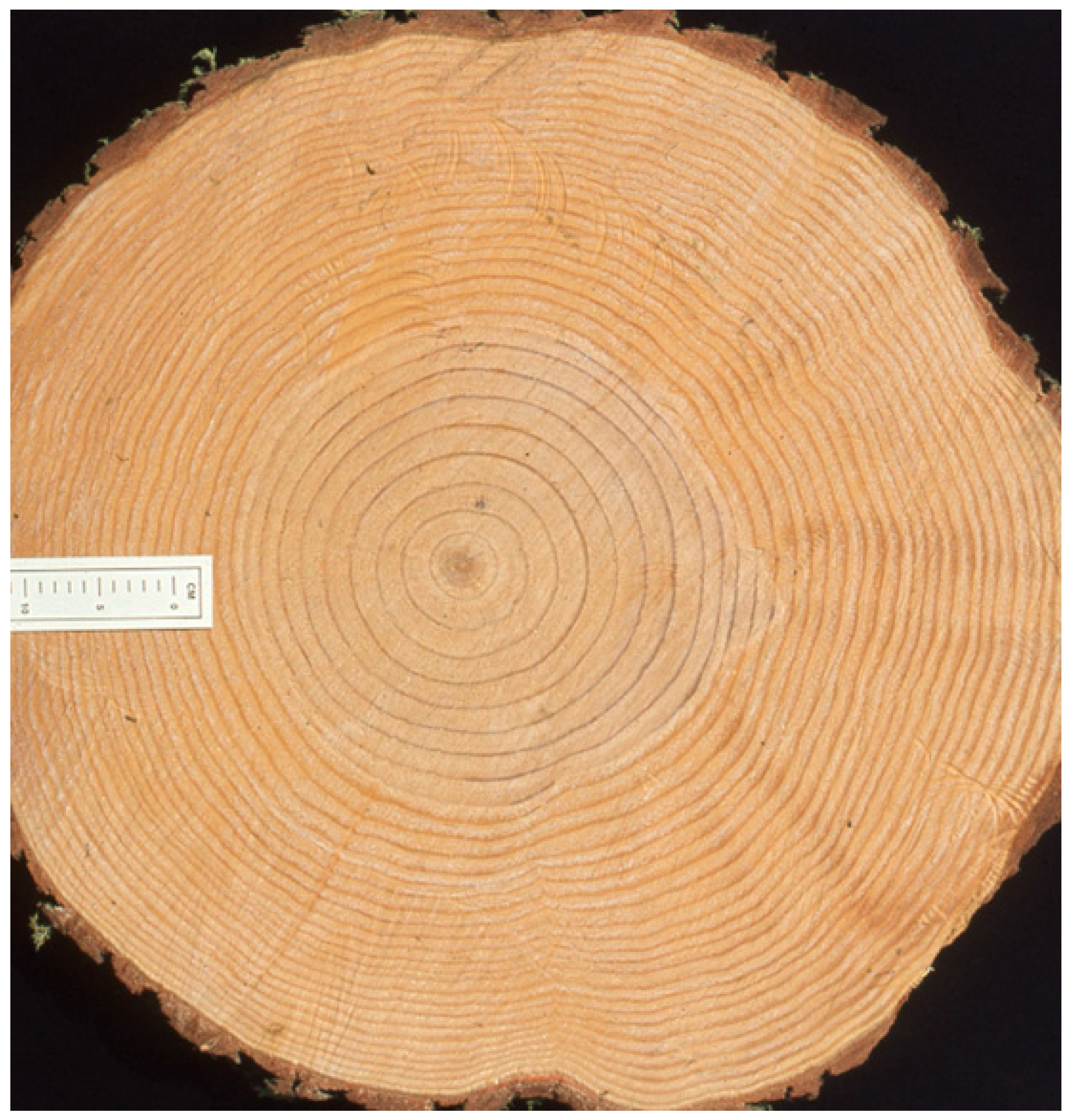 Forests 14 00570 g008