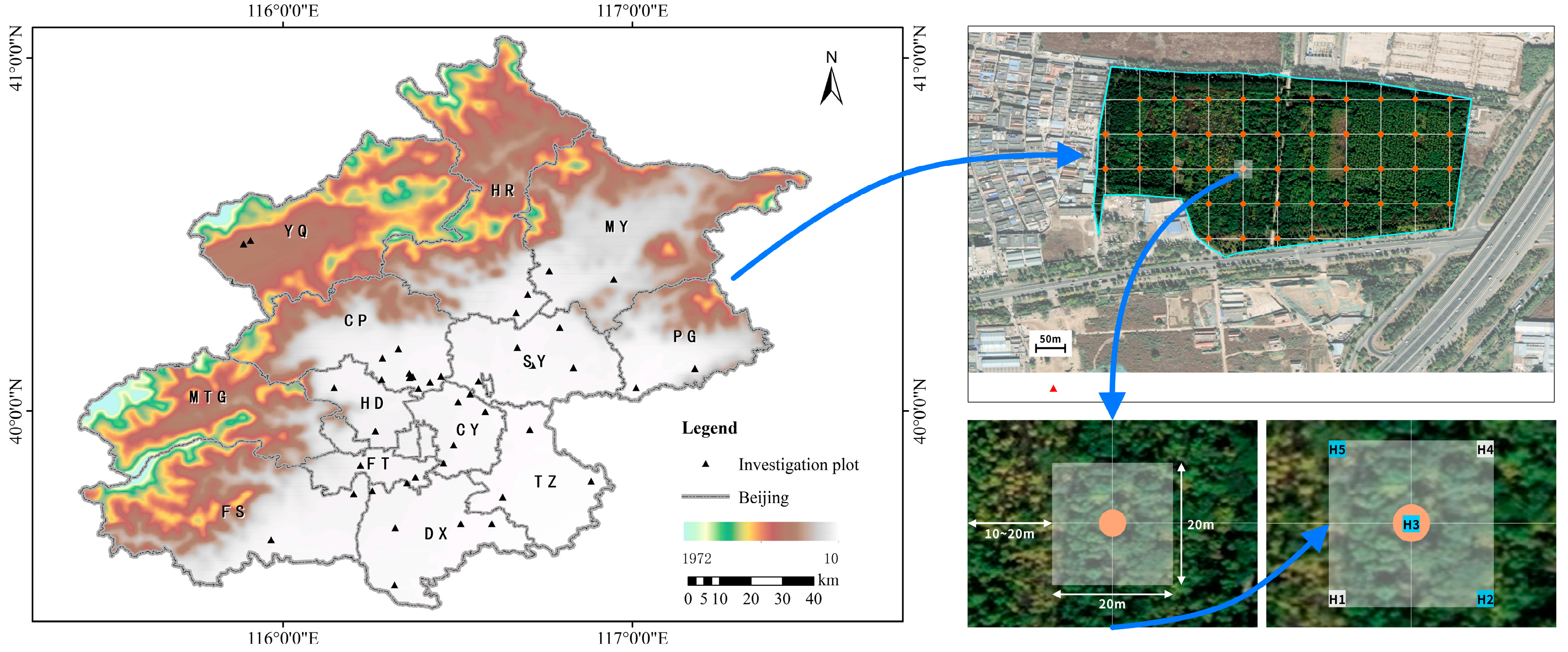 Forests 14 00571 g002 Forests 14 00571 g002
