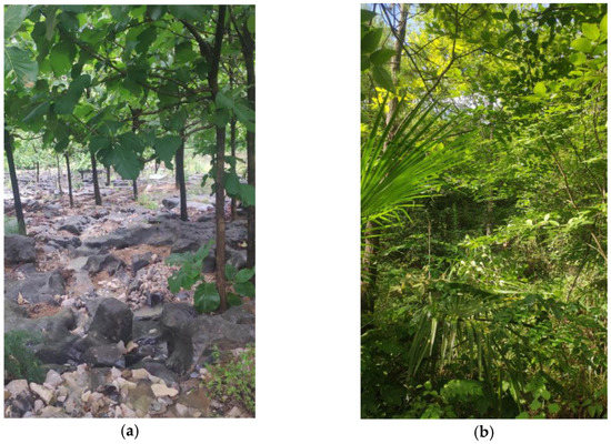Review on Driving Factors of Ecosystem Services: Its Enlightenment