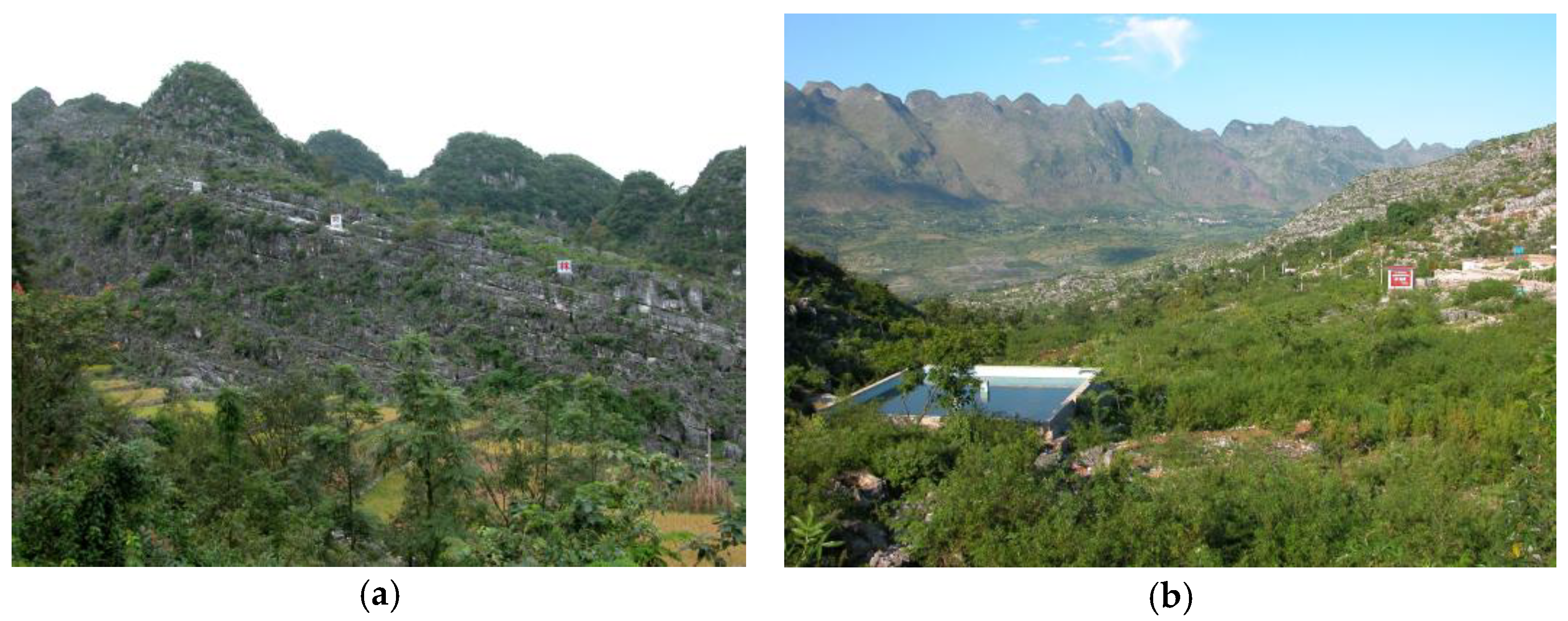 Forests 14 00582 g006 Forests 14 00582 g006