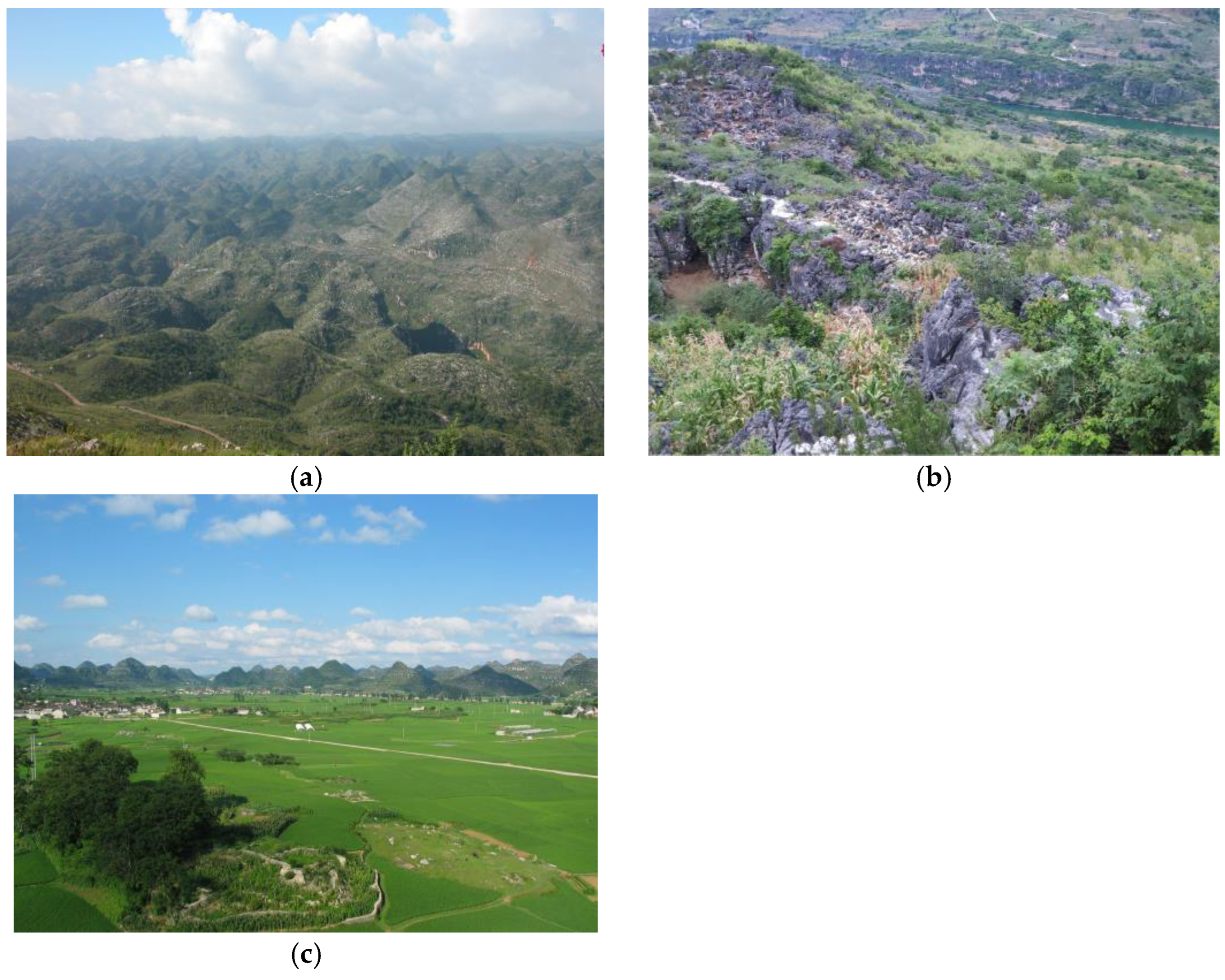 Forests 14 00582 g007 Forests 14 00582 g007