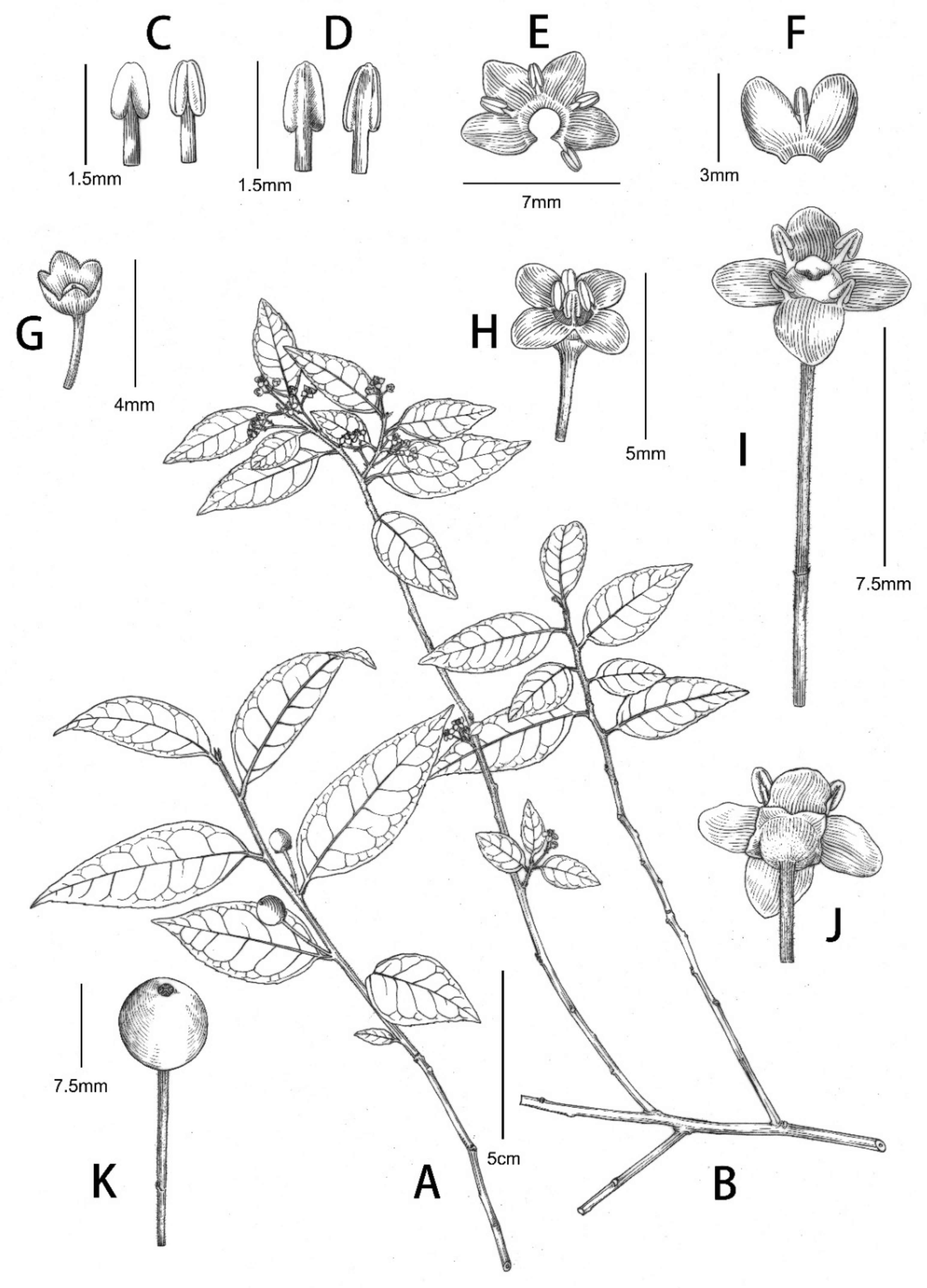 Forests 14 00583 g003 Forests 14 00583 g003