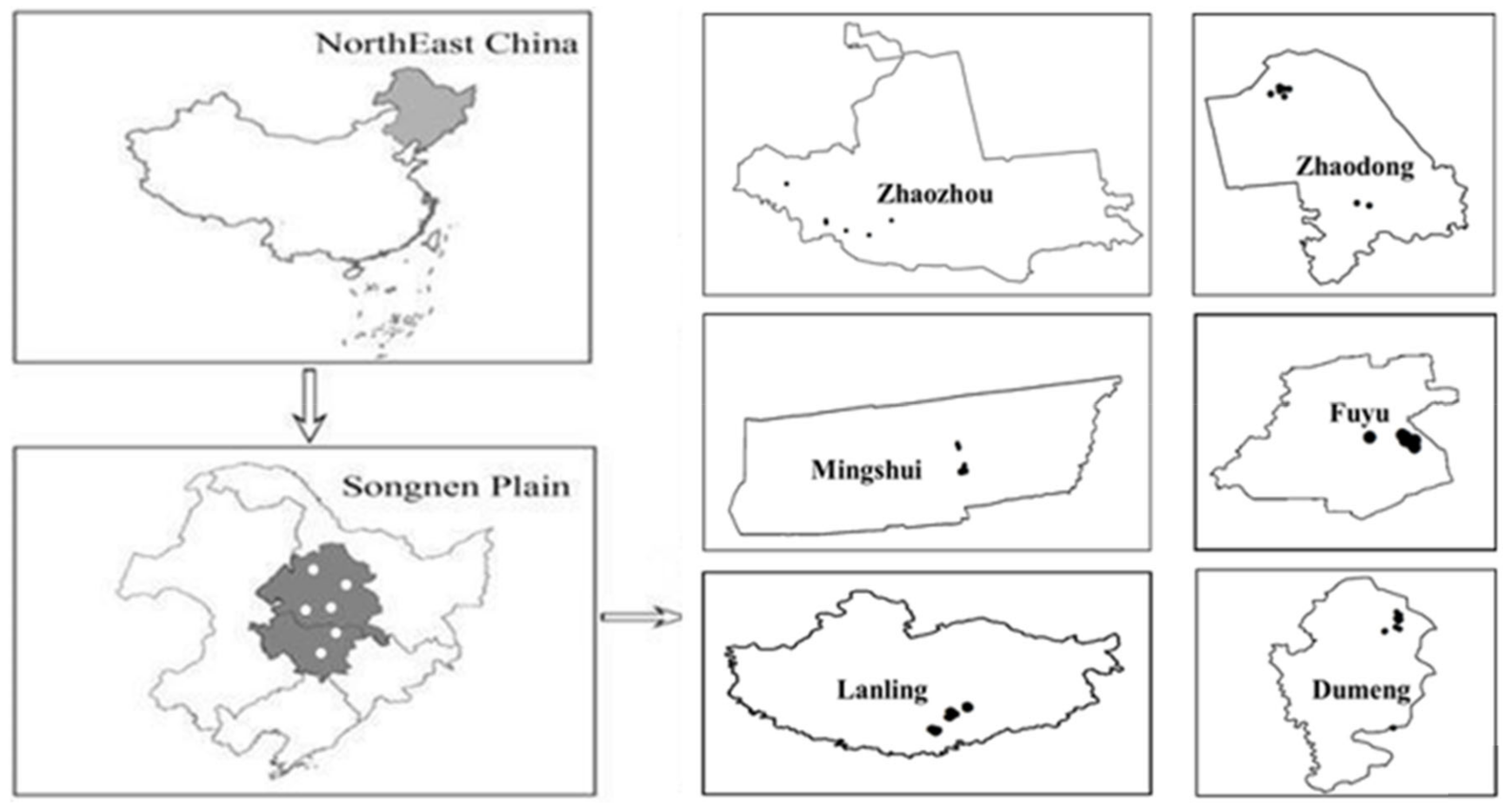 Forests 14 00584 g001