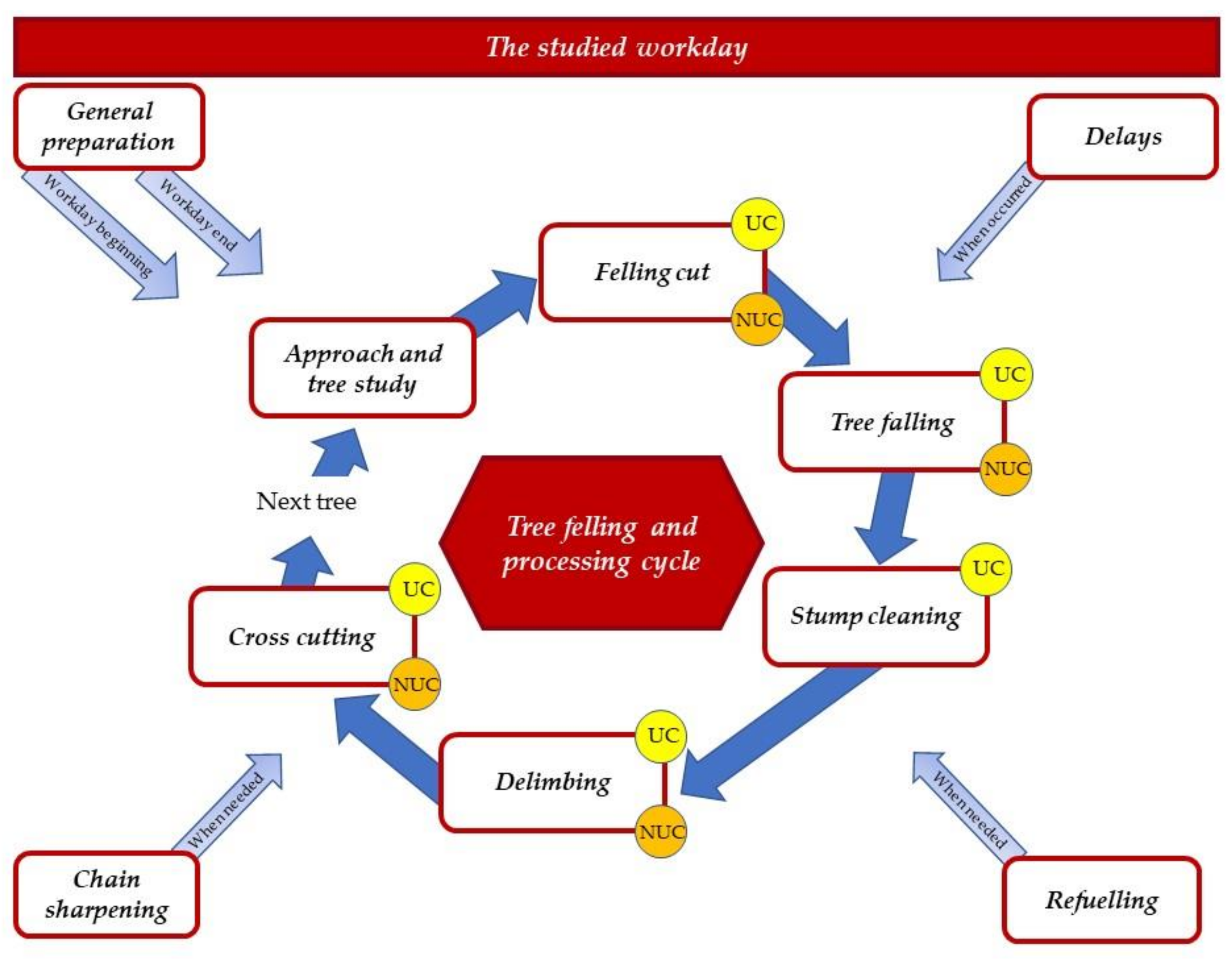 Forests 14 00585 g001