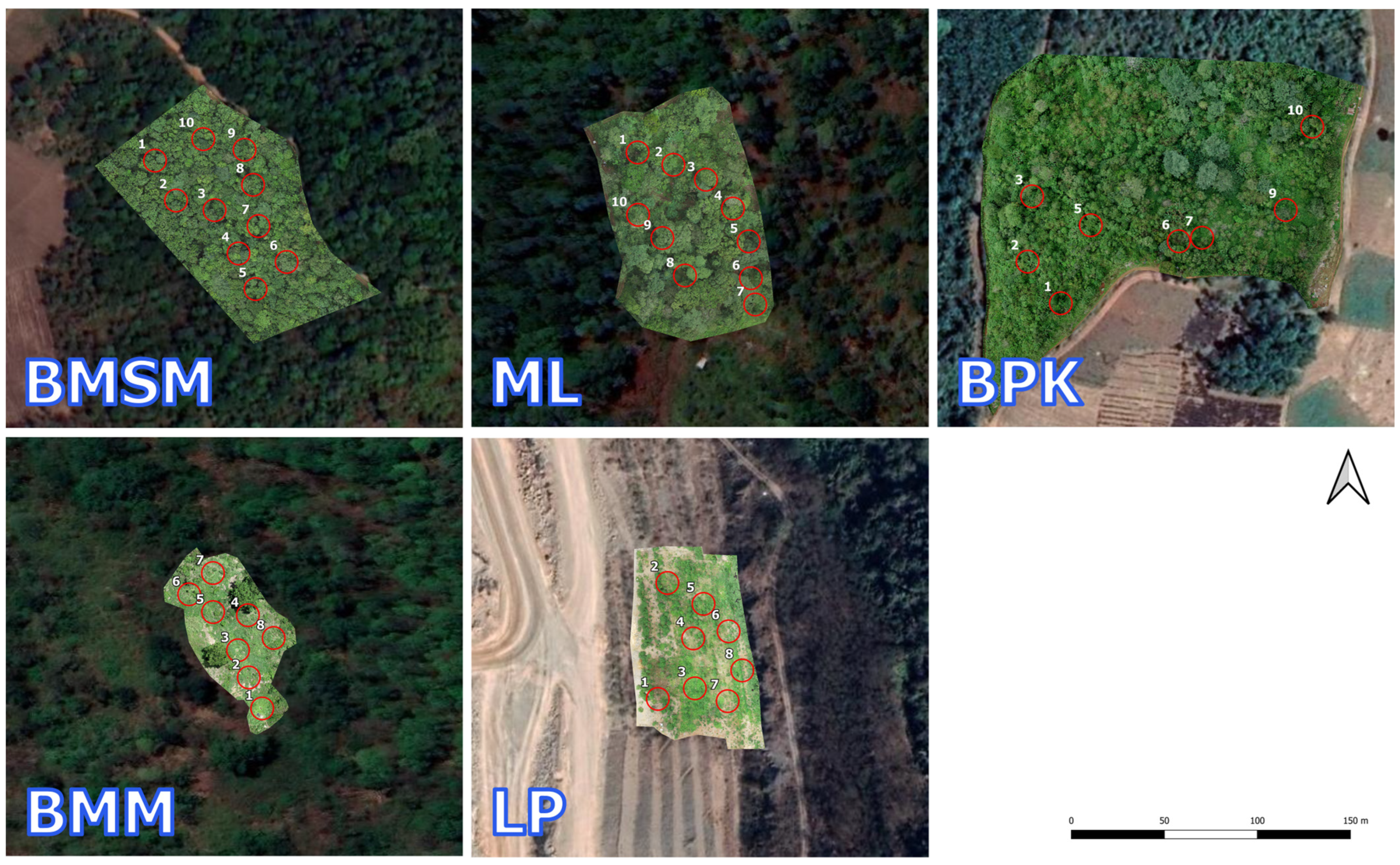 Forests 14 00586 g002