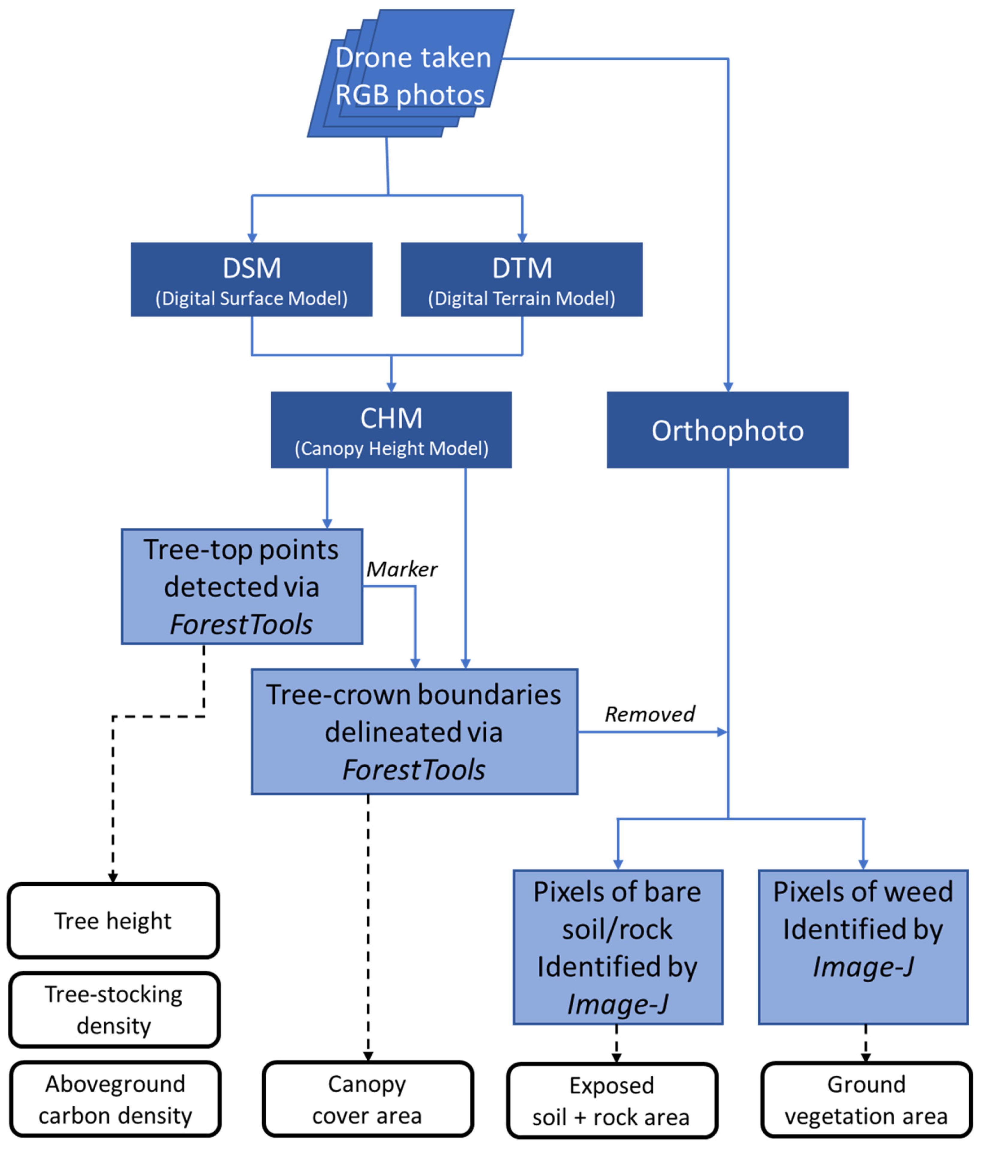 Forests 14 00586 g003