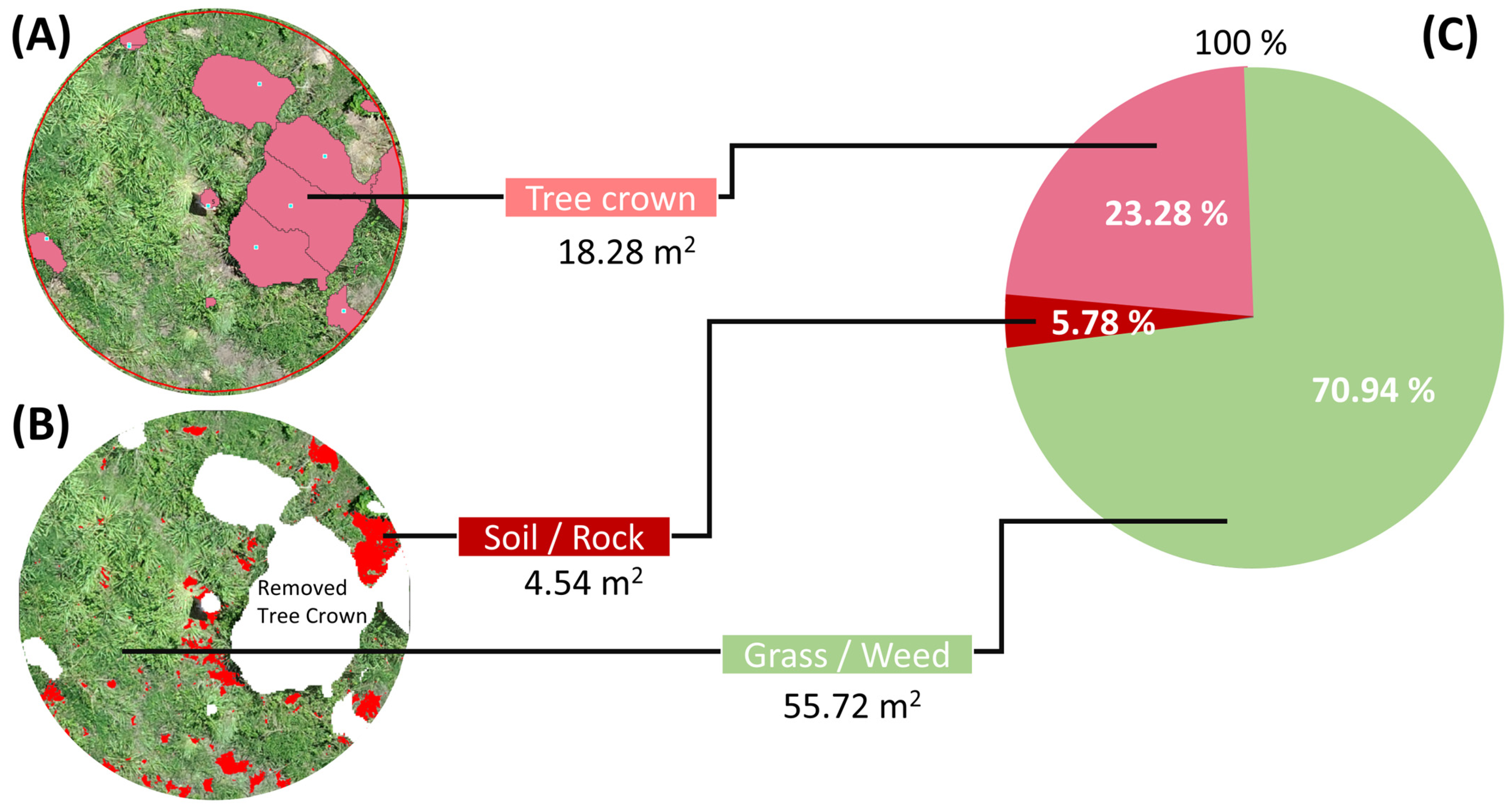 Forests 14 00586 g004