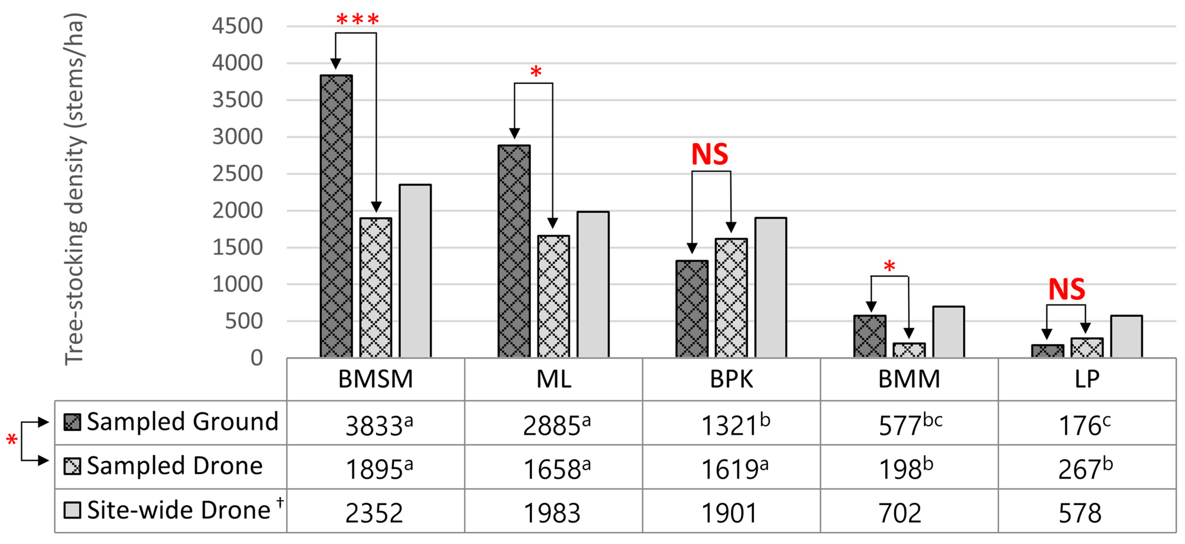 Forests 14 00586 g005