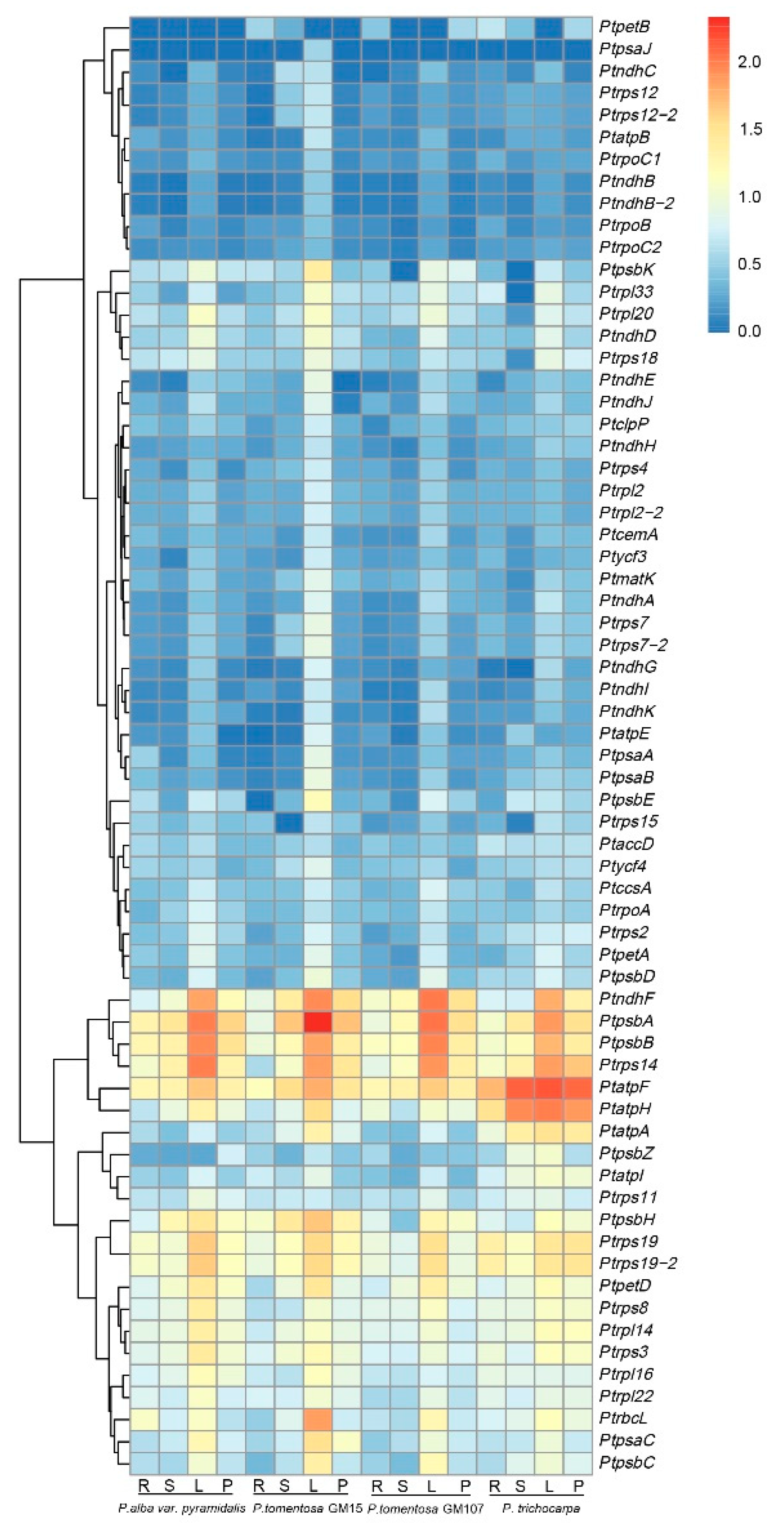 Forests 14 00587 g008
