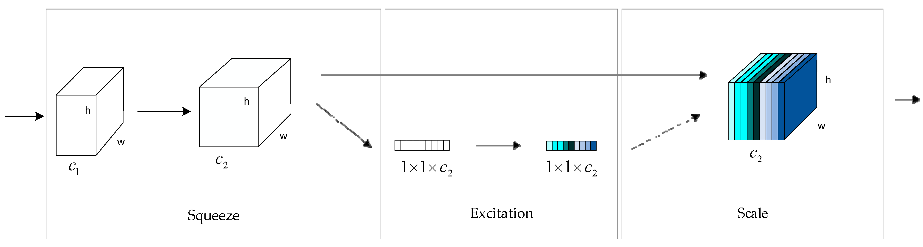 Forests 14 00588 g003