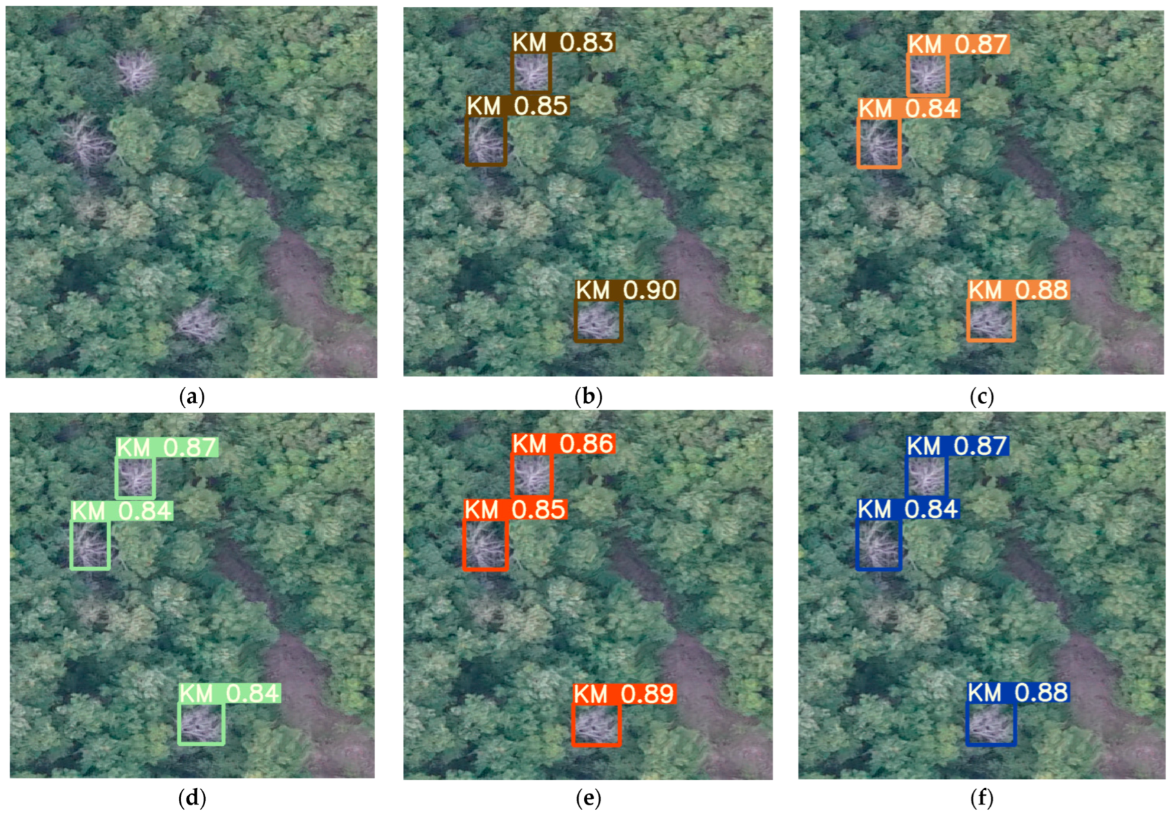 Forests 14 00588 g012