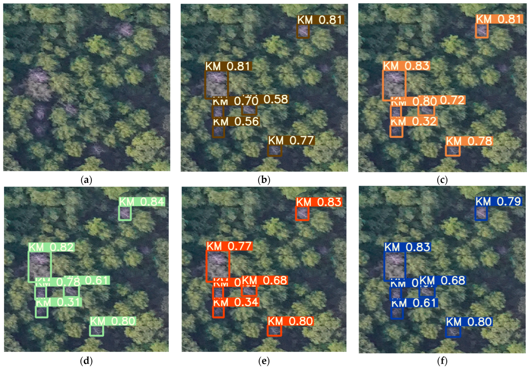 Forests 14 00588 g013