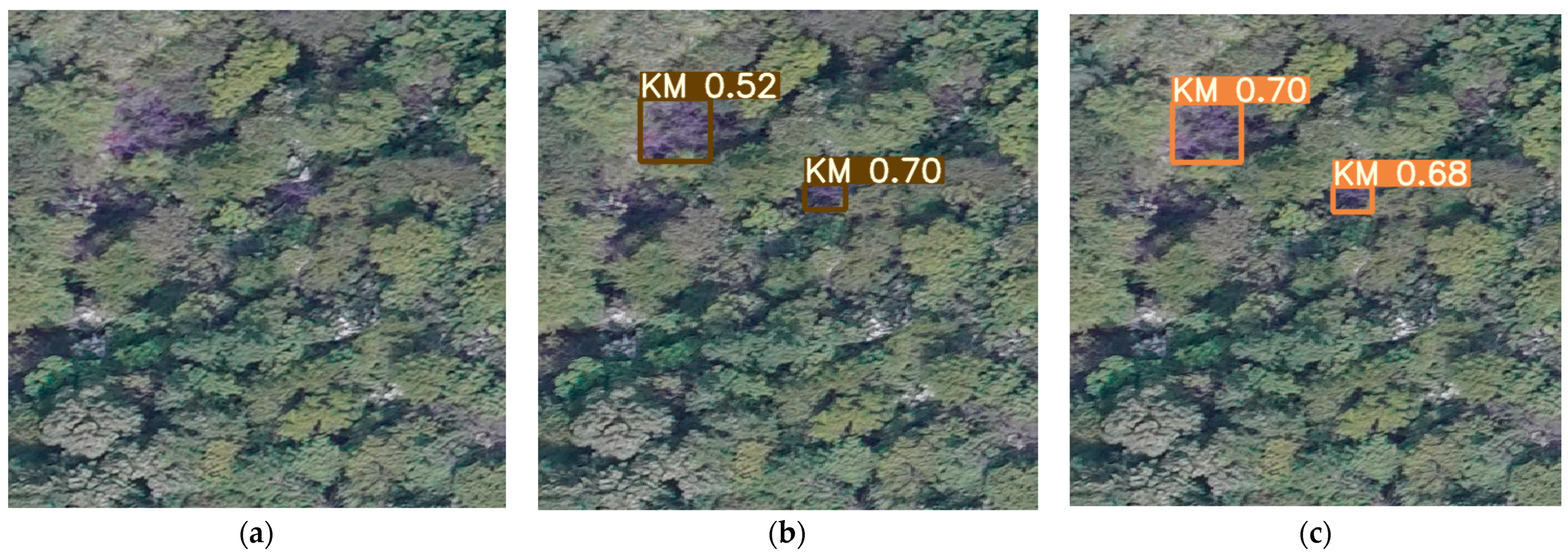 Forests 14 00588 g014a