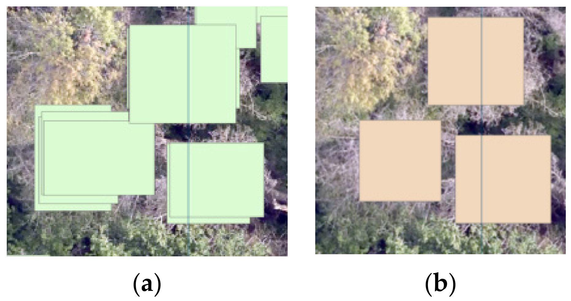 Forests 14 00601 g006