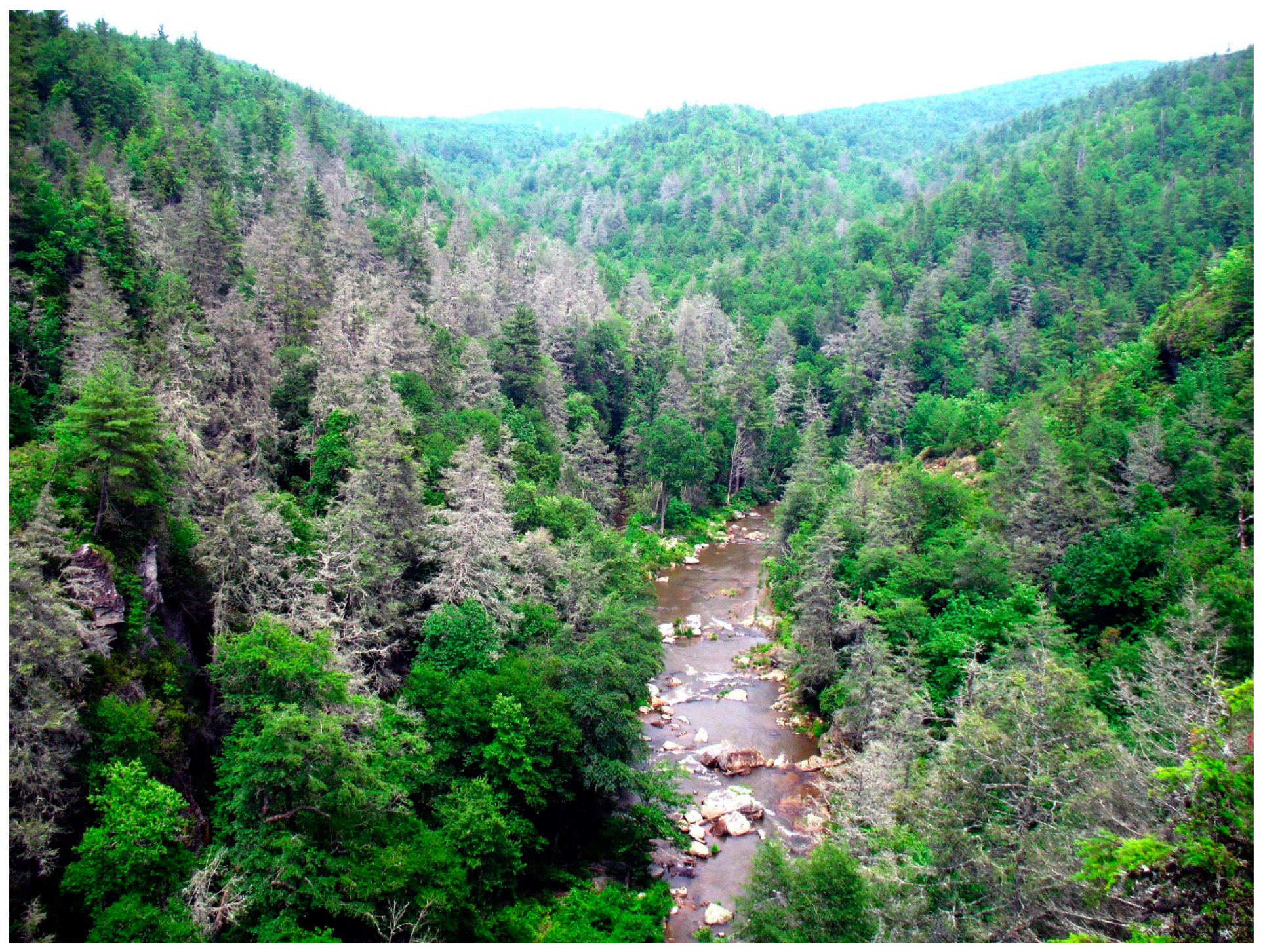 Forests 14 00605 g001