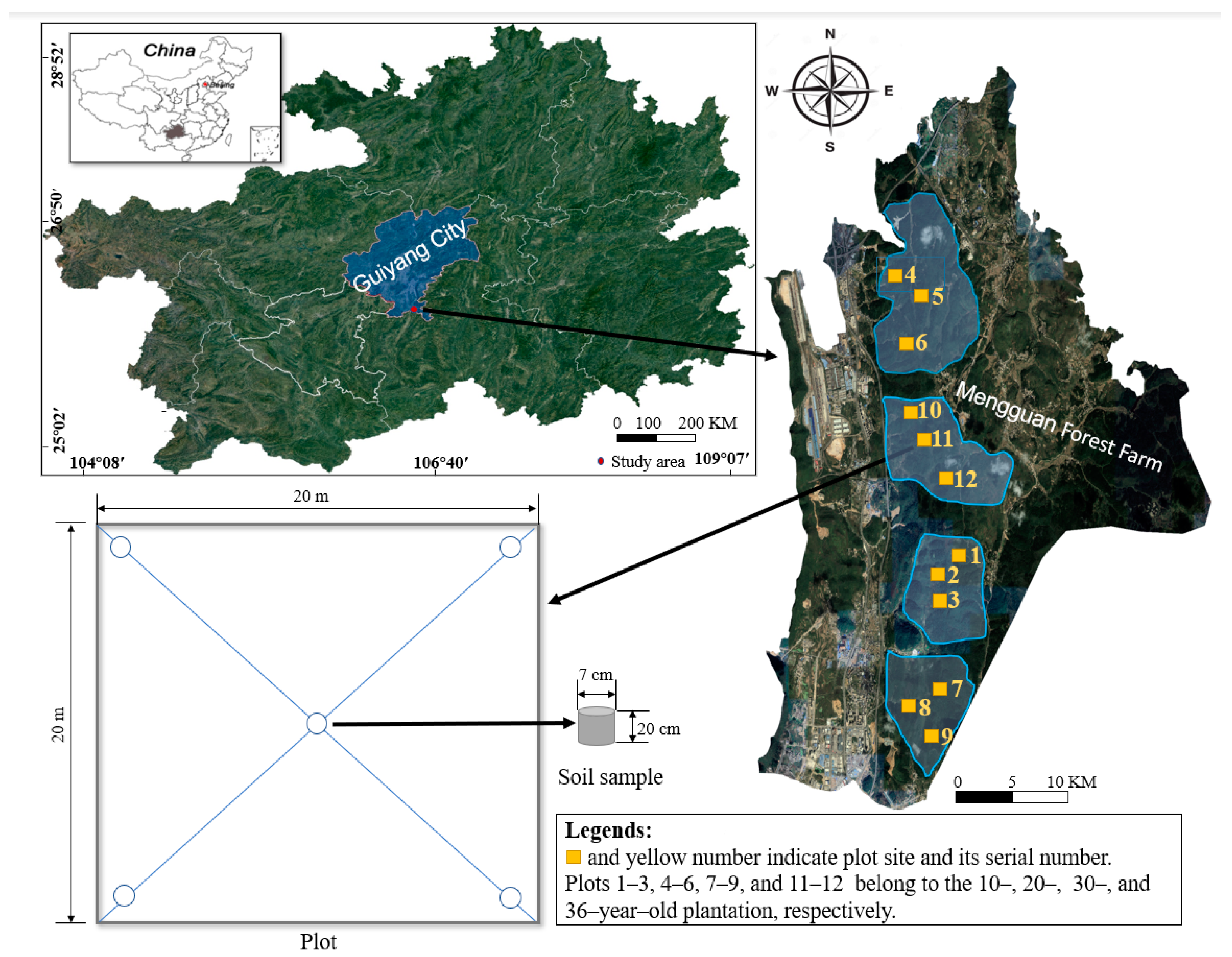 Forests 14 00607 g001 Forests 14 00607 g001