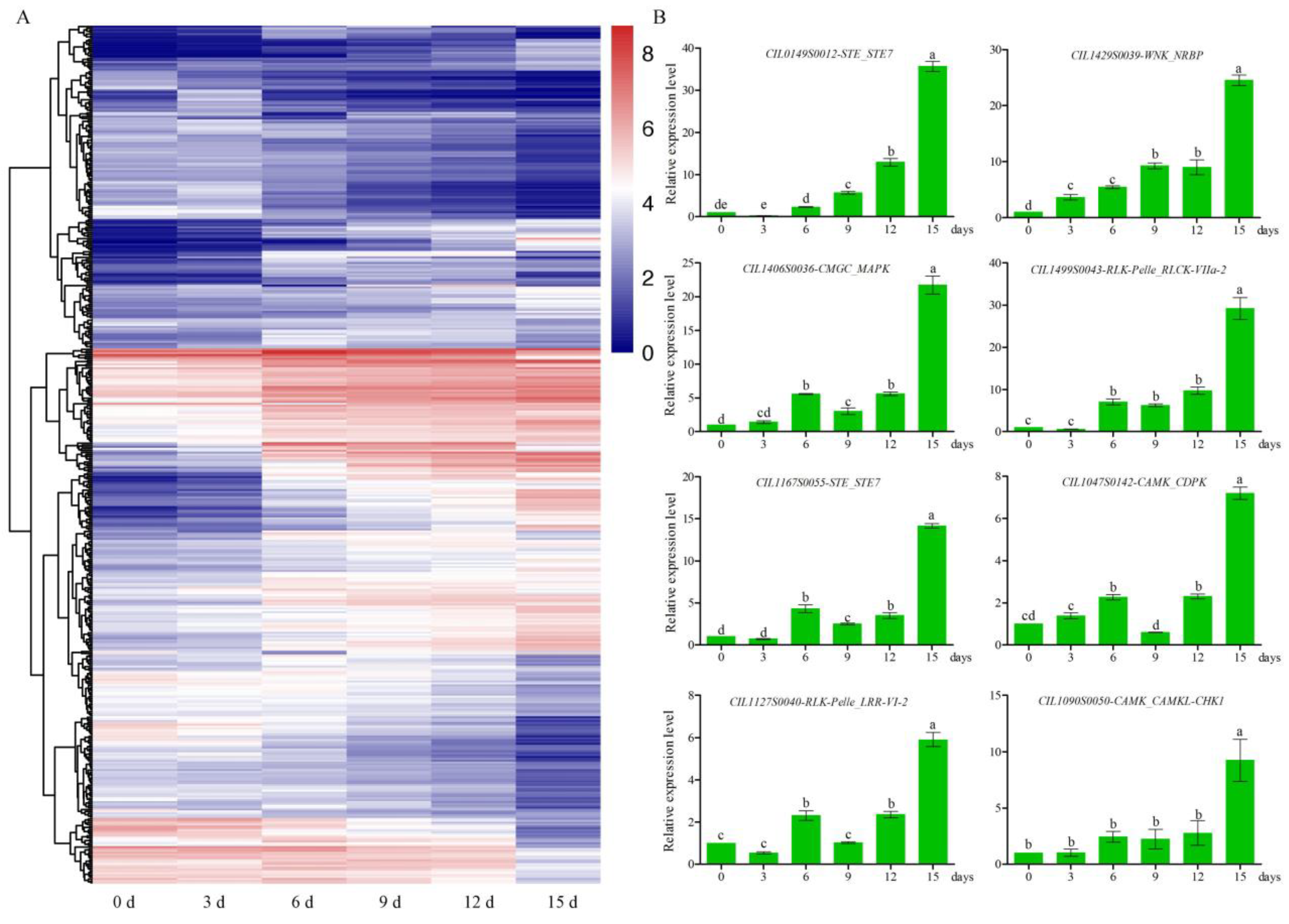Forests 14 00608 g004 Forests 14 00608 g004