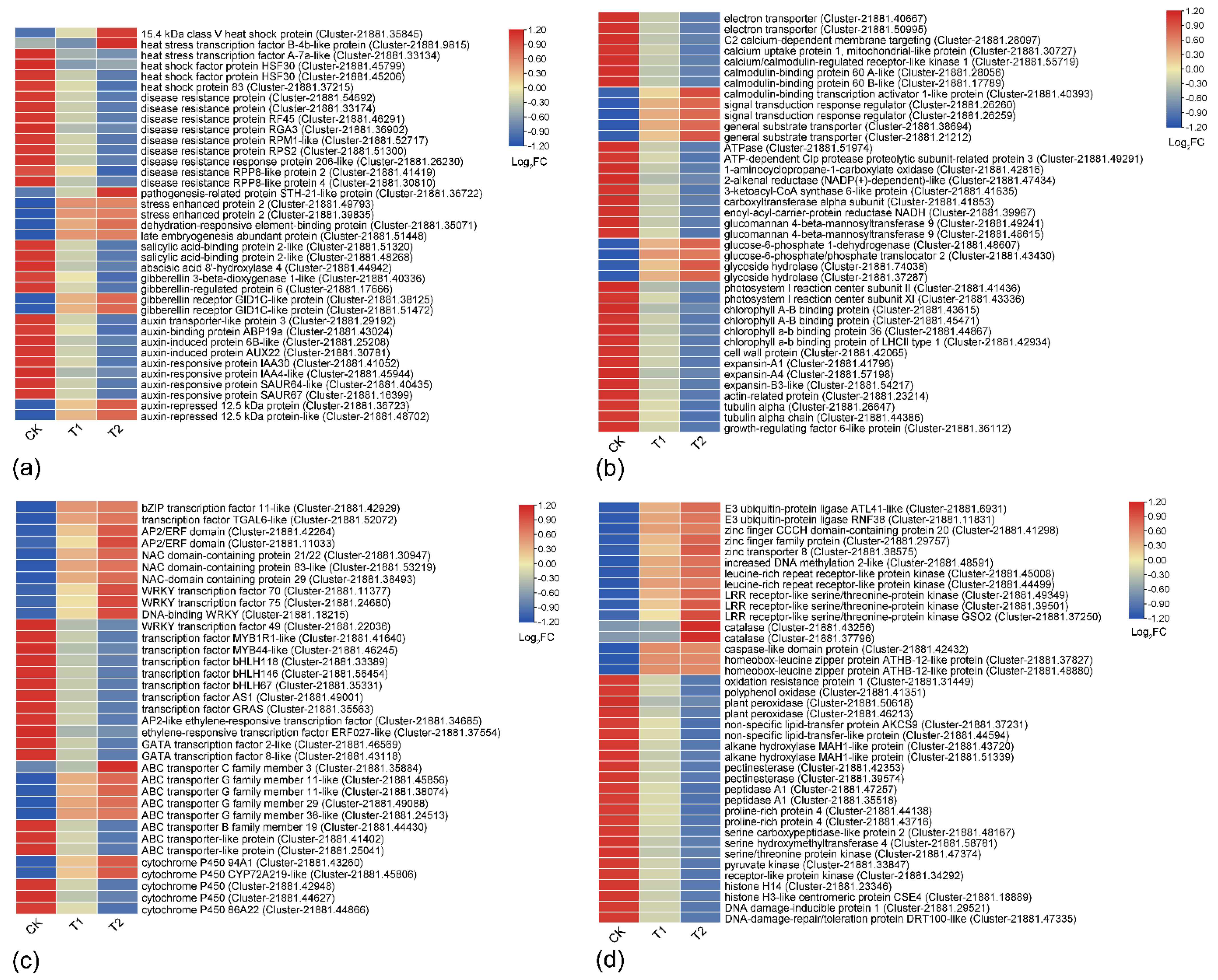 Forests 14 00610 g007 Forests 14 00610 g007