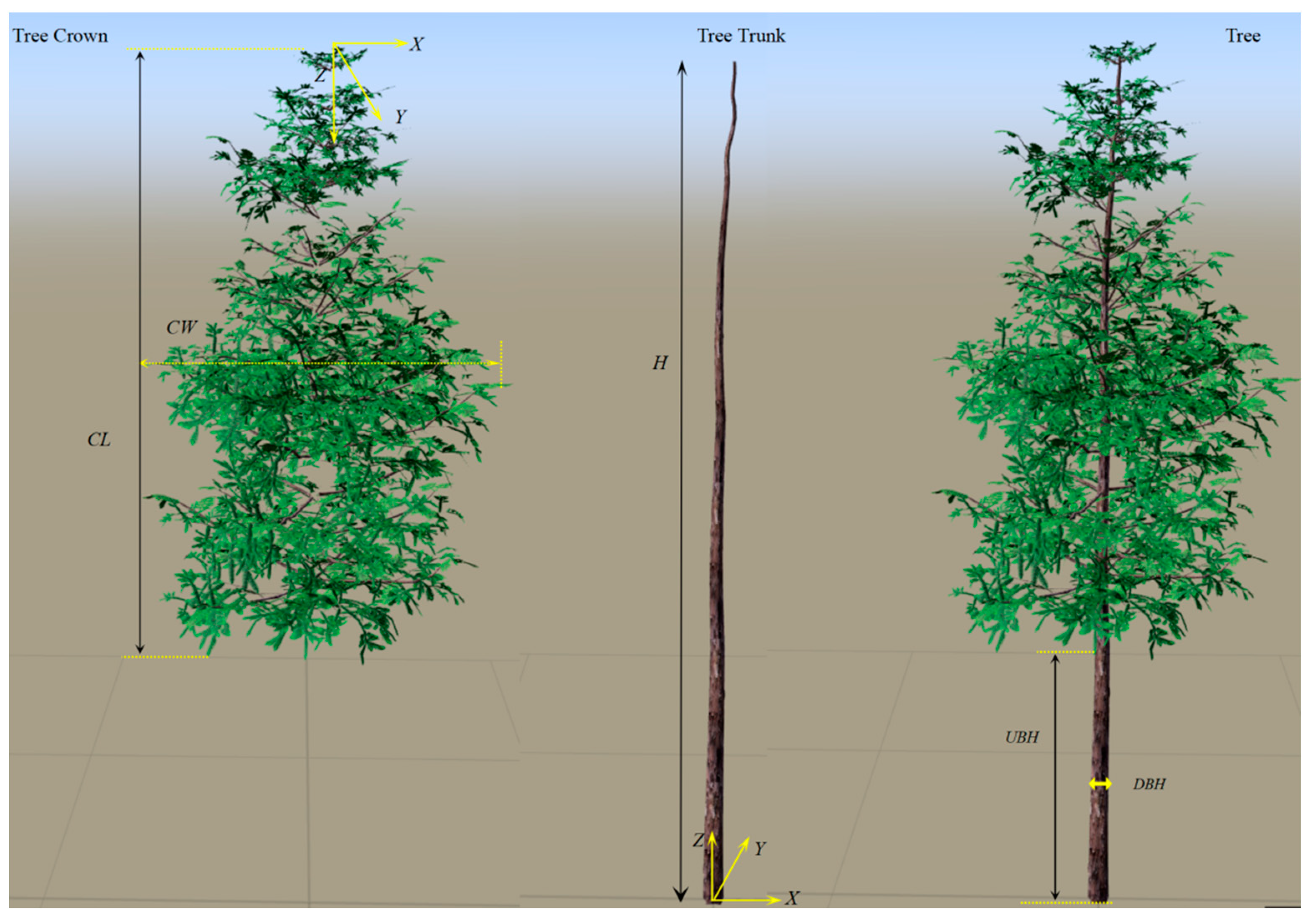Forests 14 00617 g006 Forests 14 00617 g006