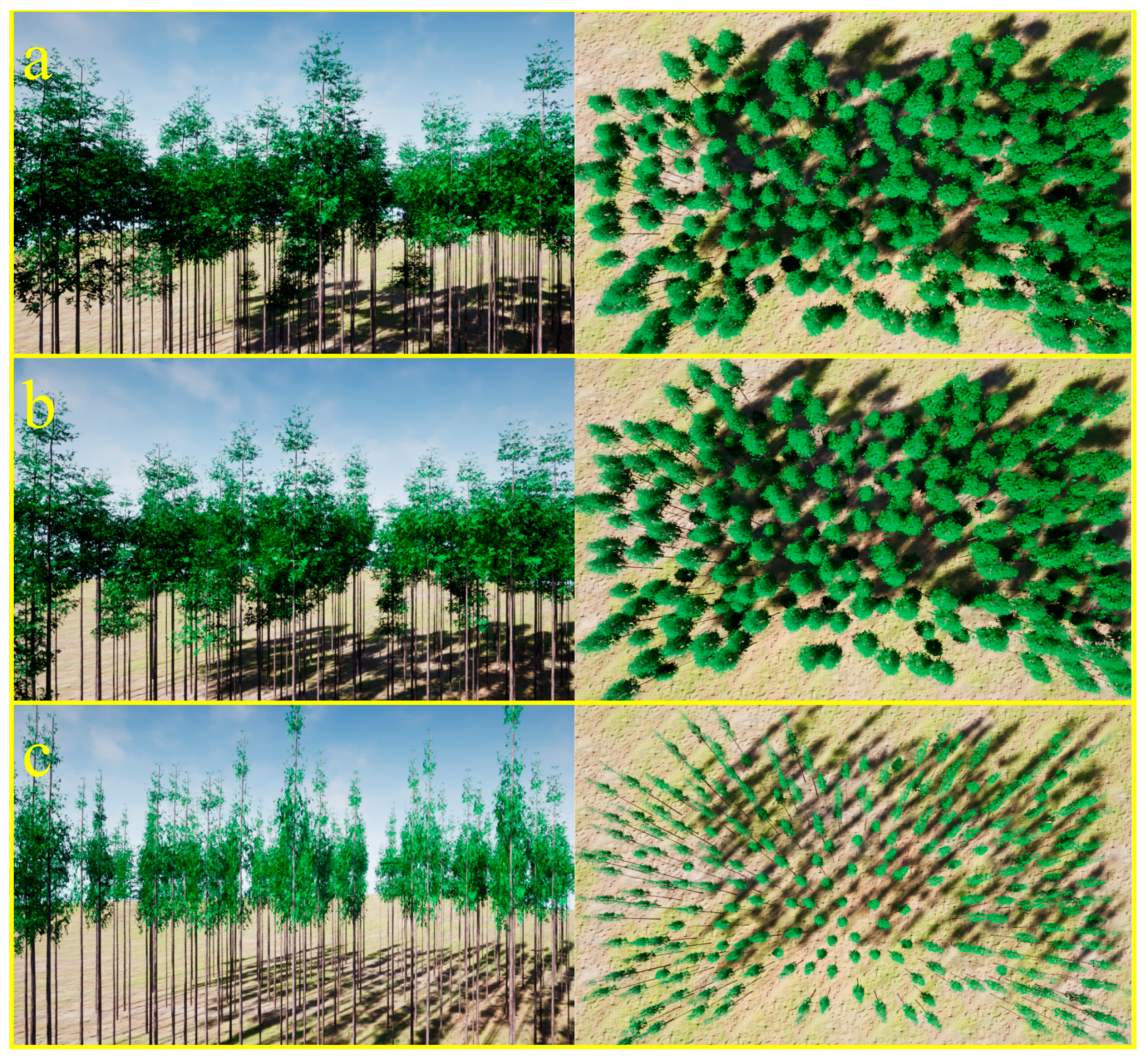 Forests 14 00617 g012 Forests 14 00617 g012