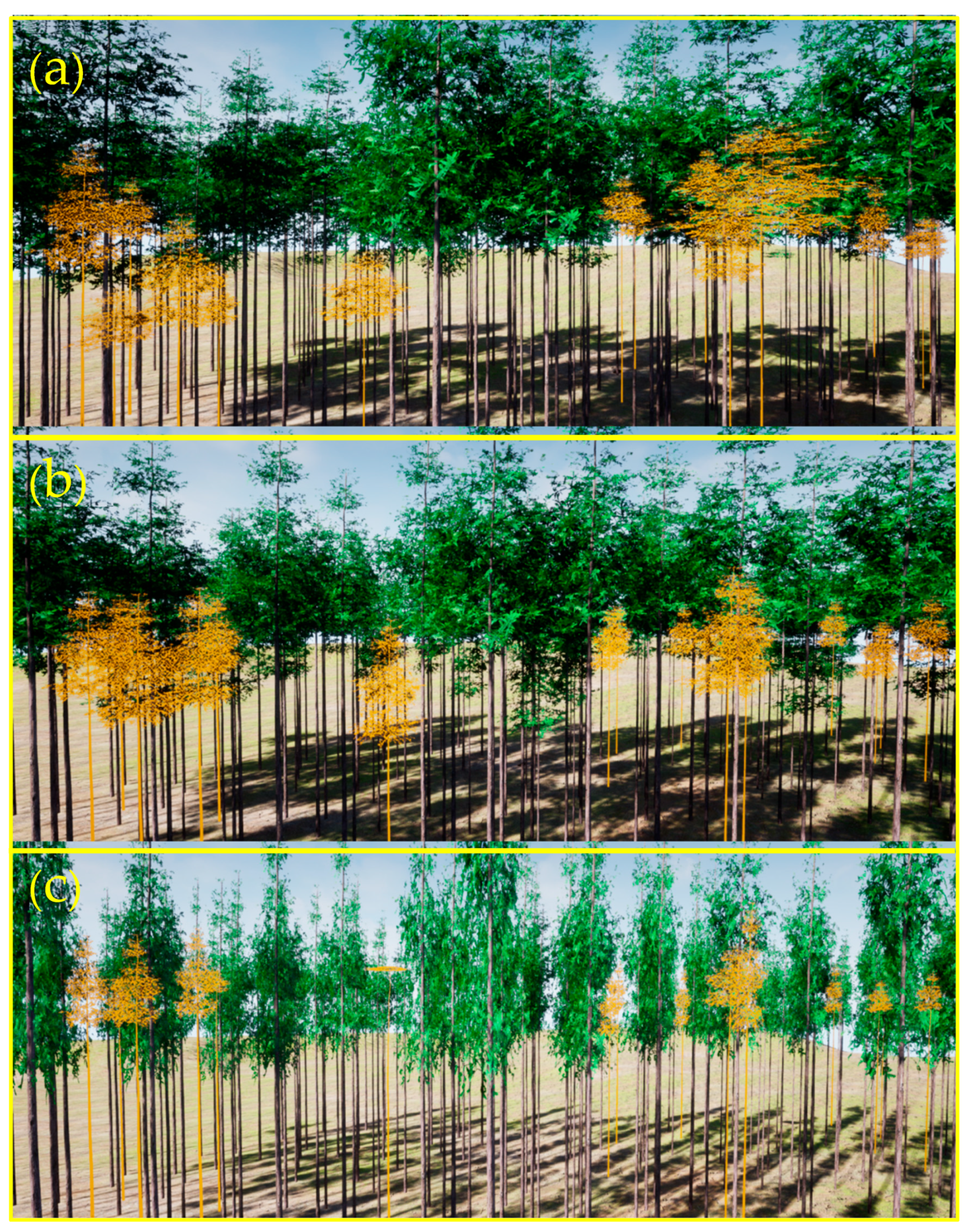 Forests 14 00617 g013 Forests 14 00617 g013