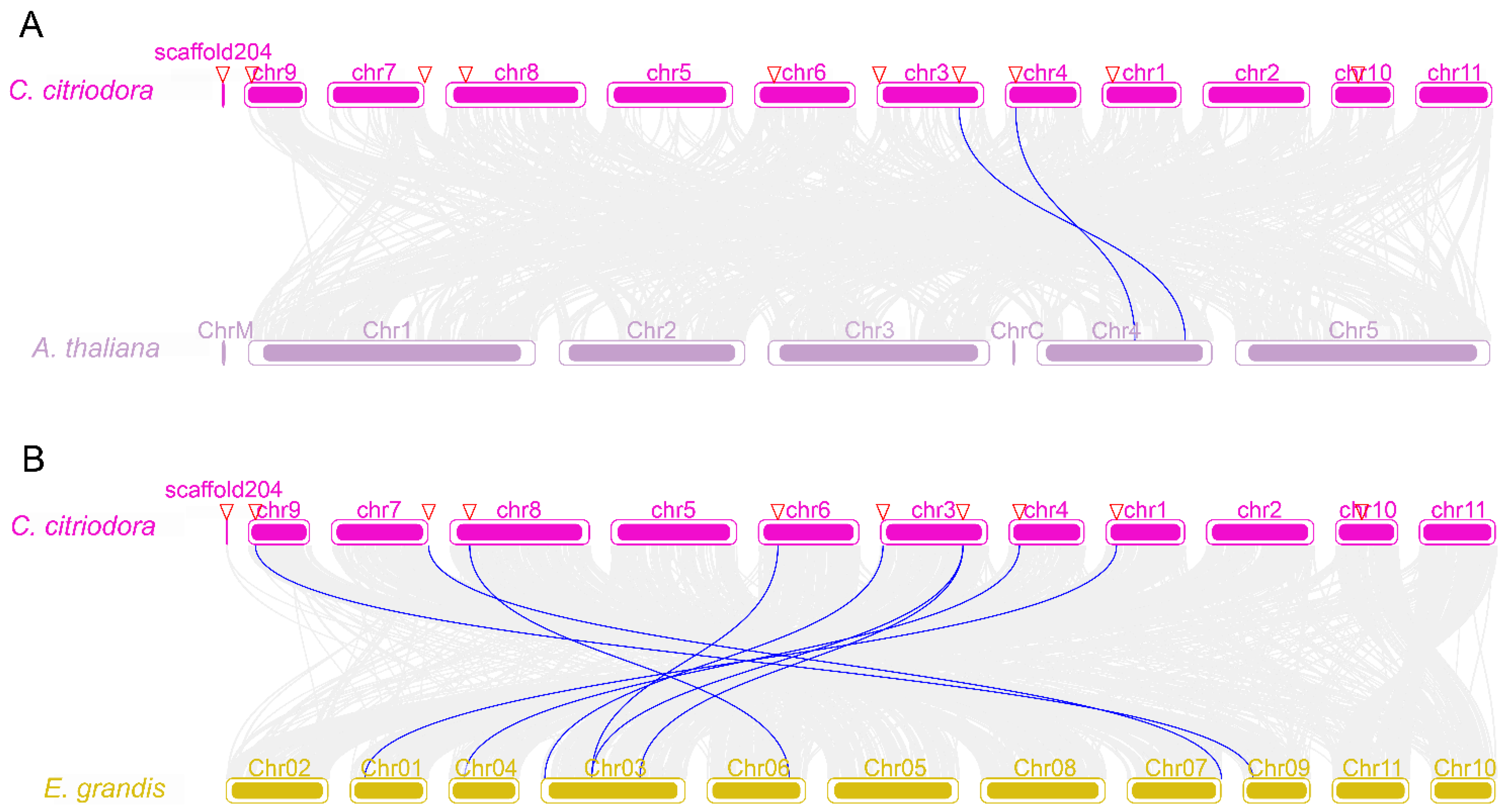 Forests 14 00618 g003