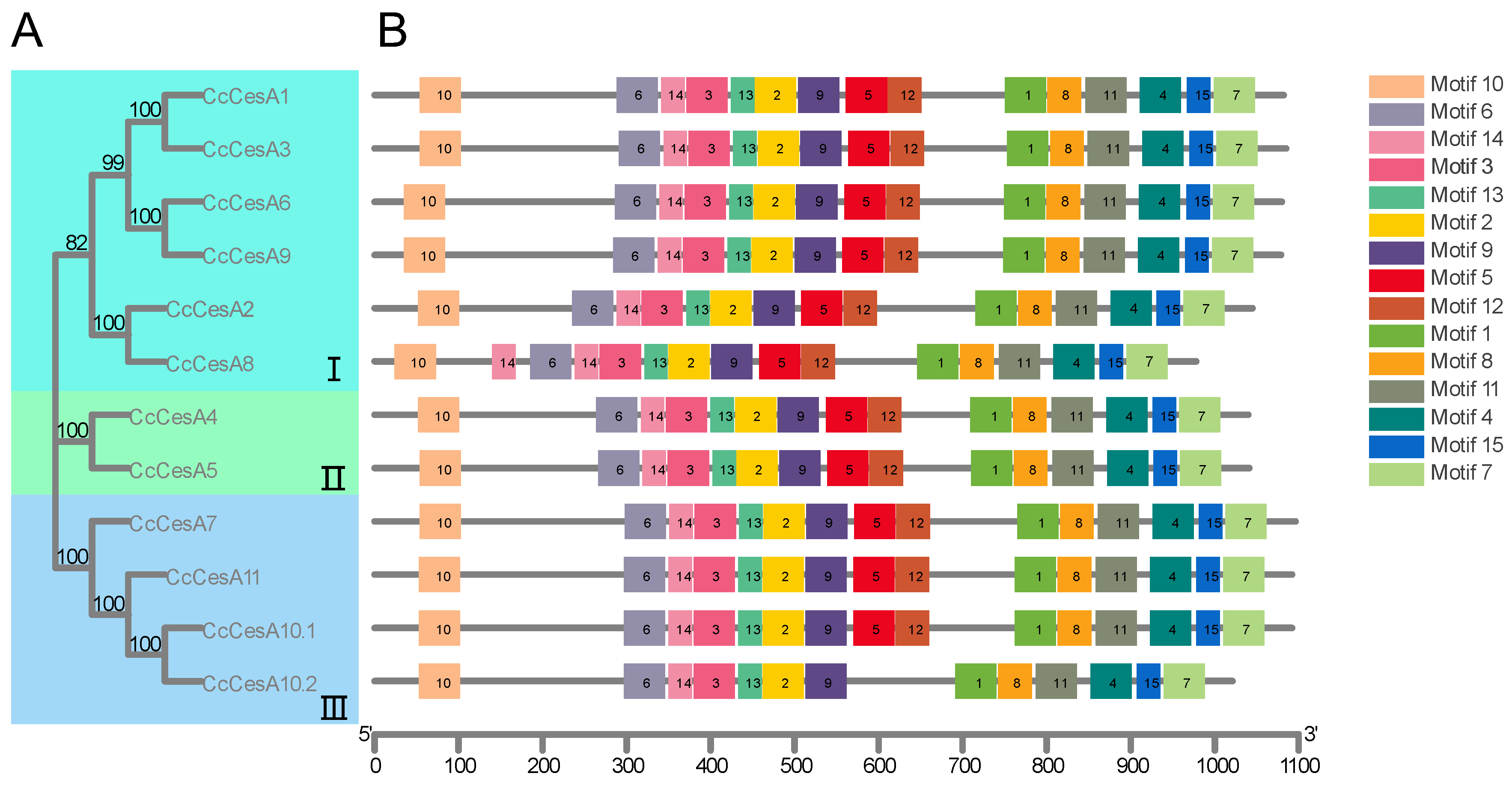 Forests 14 00618 g004