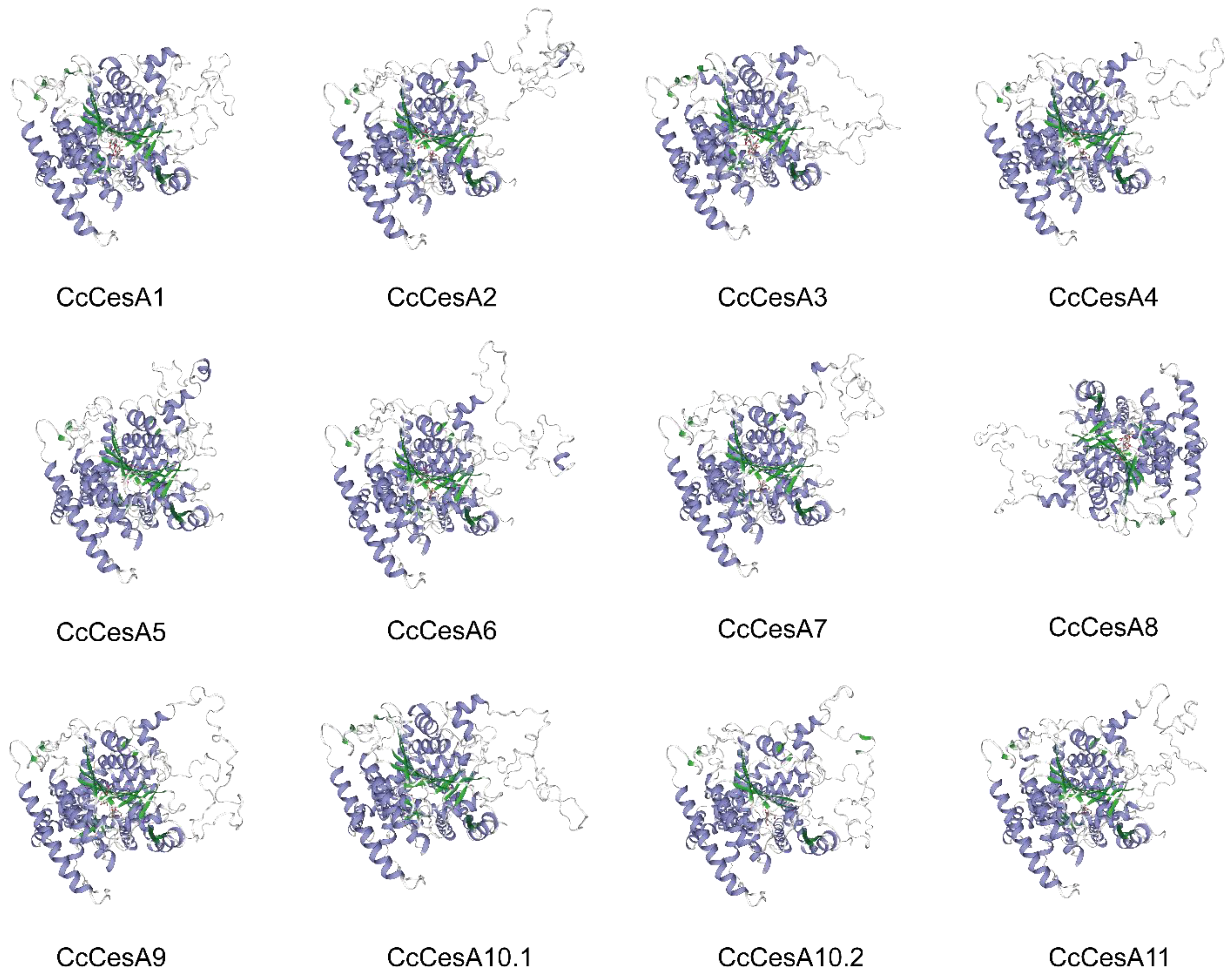 Forests 14 00618 g006