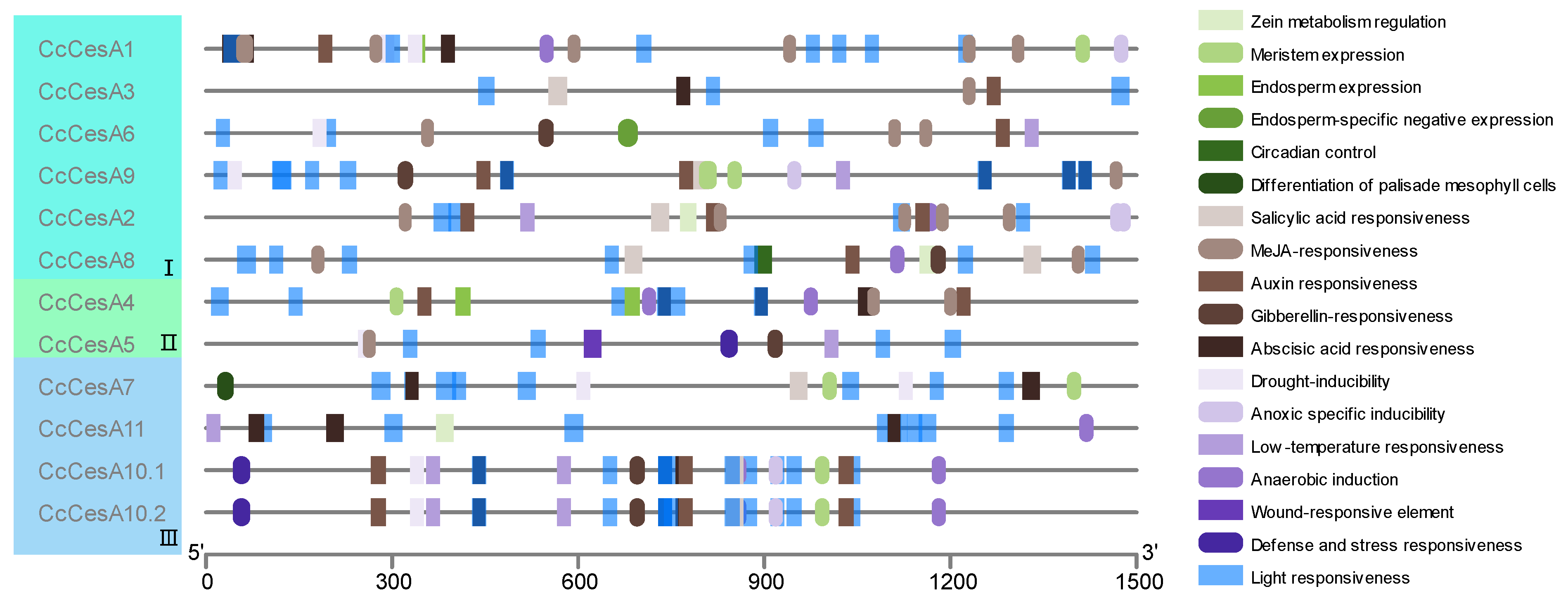 Forests 14 00618 g007