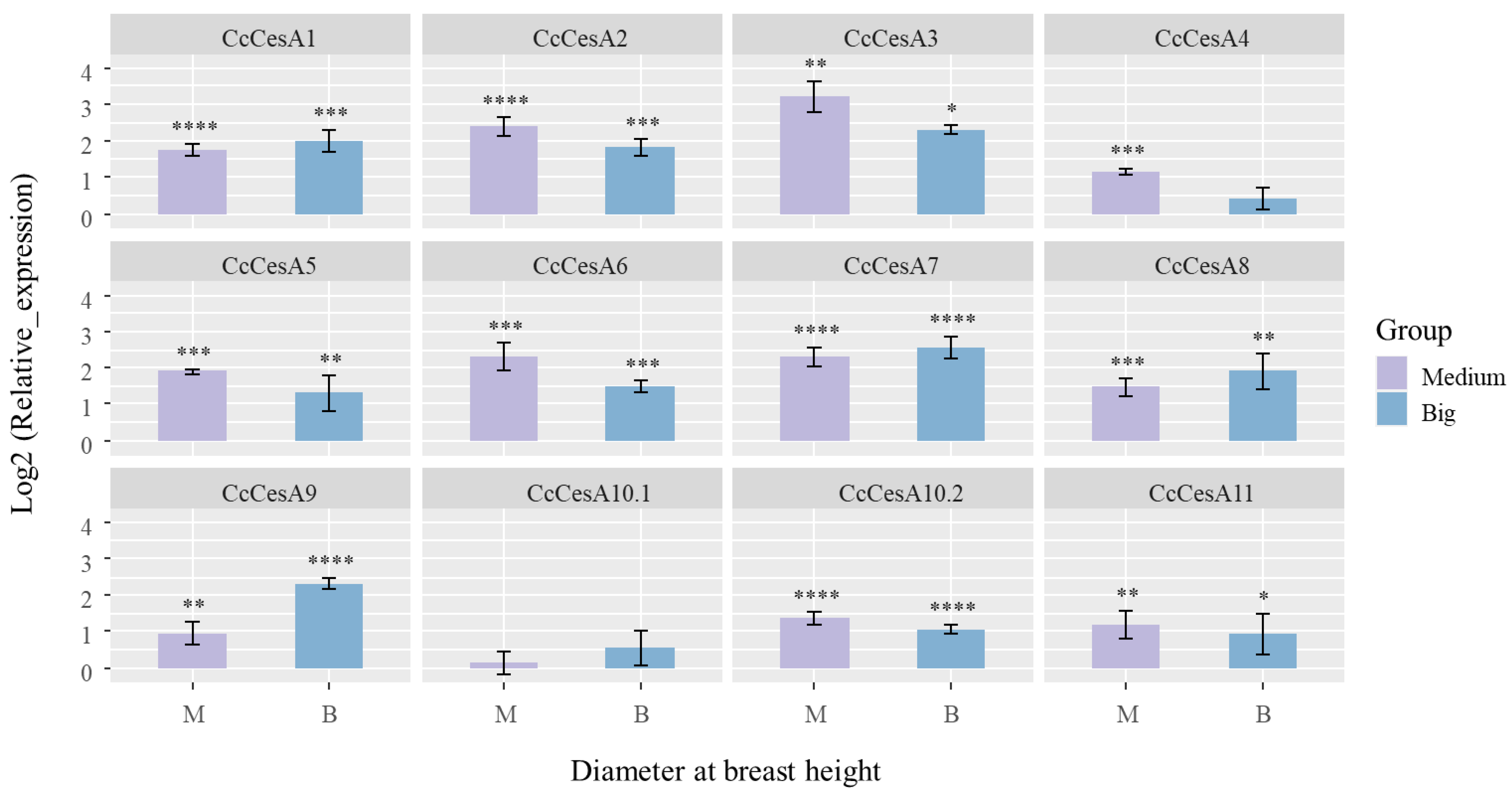Forests 14 00618 g008