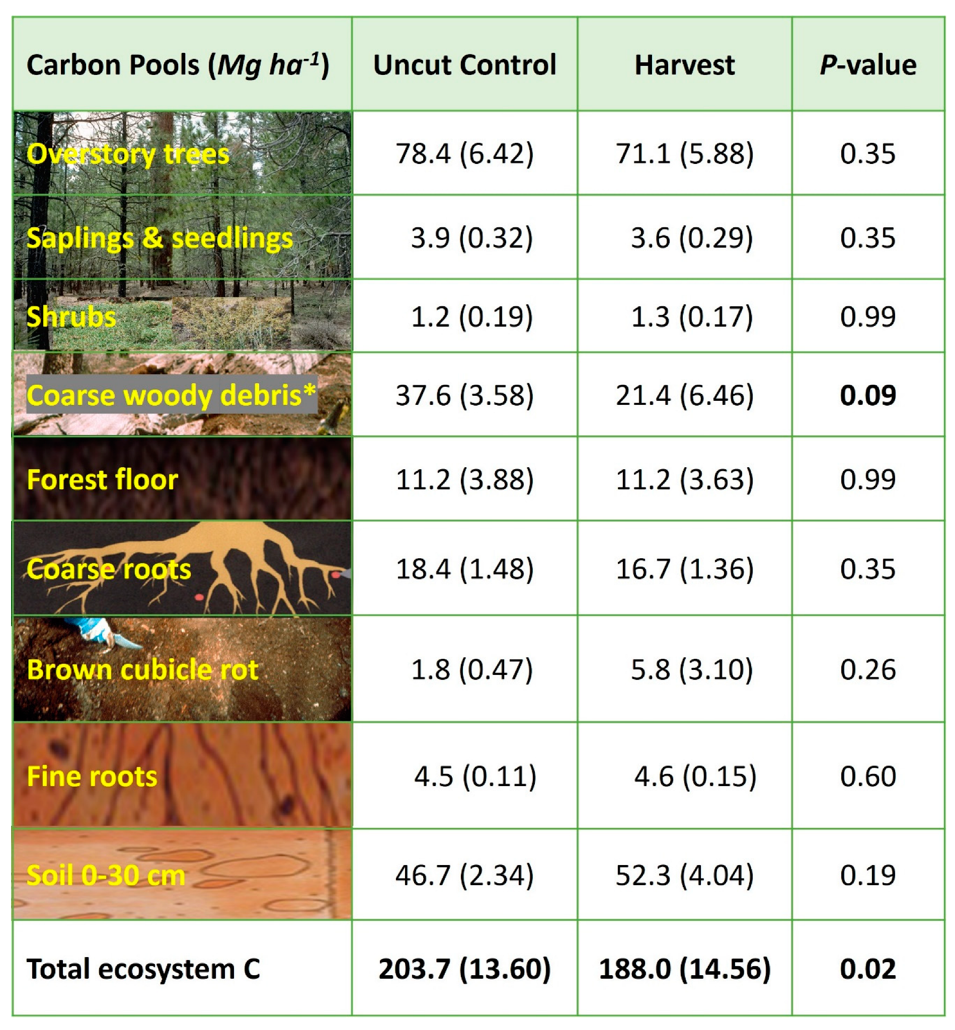 Forests 14 00623 g008 Forests 14 00623 g008