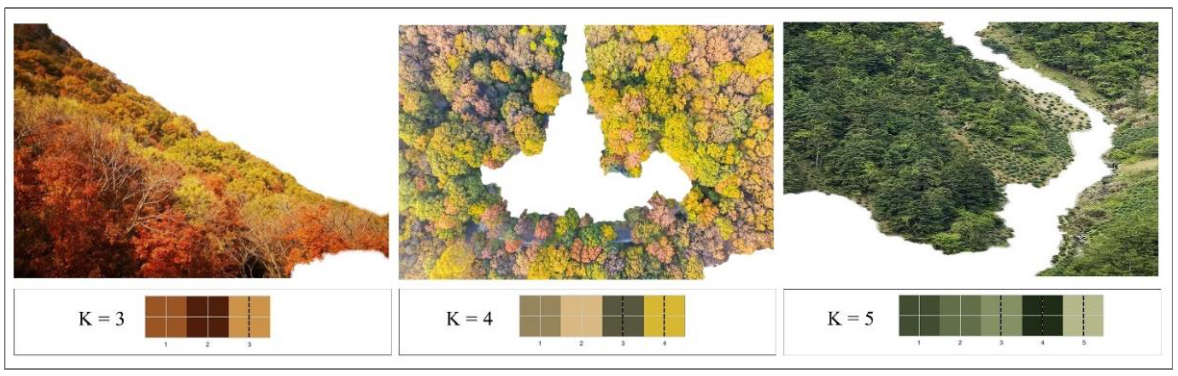 Forests 14 00627 g0a2