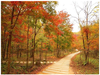 Forests 14 00627 i031