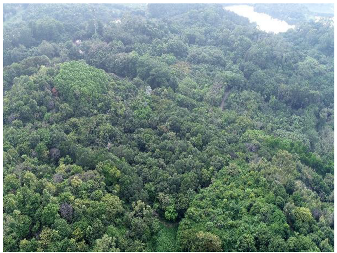 Forests 14 00627 i047