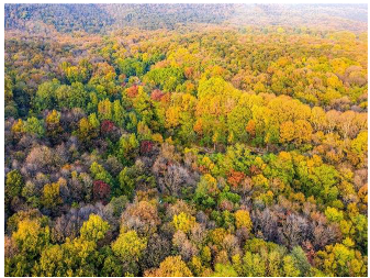 Forests 14 00627 i071