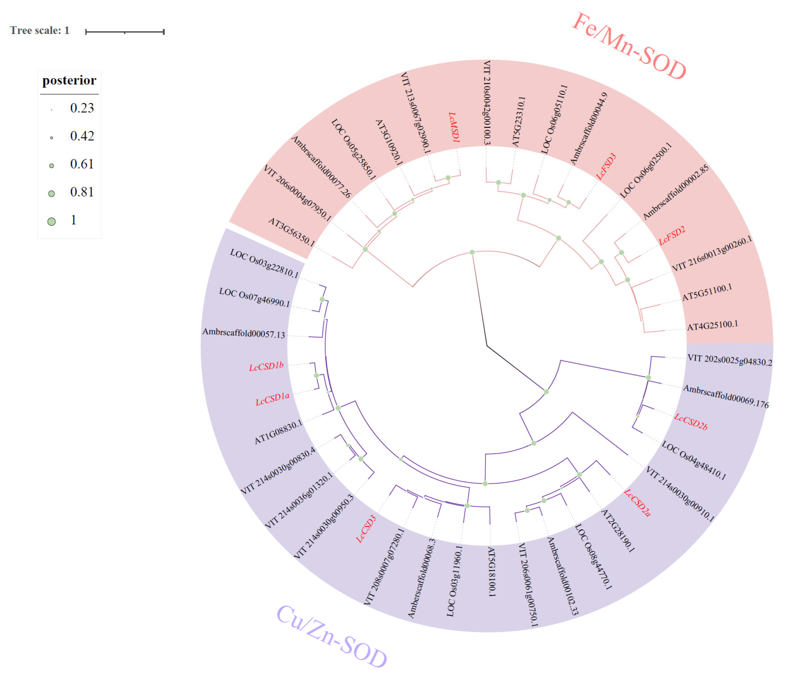 Forests 14 00628 g002 Forests 14 00628 g002