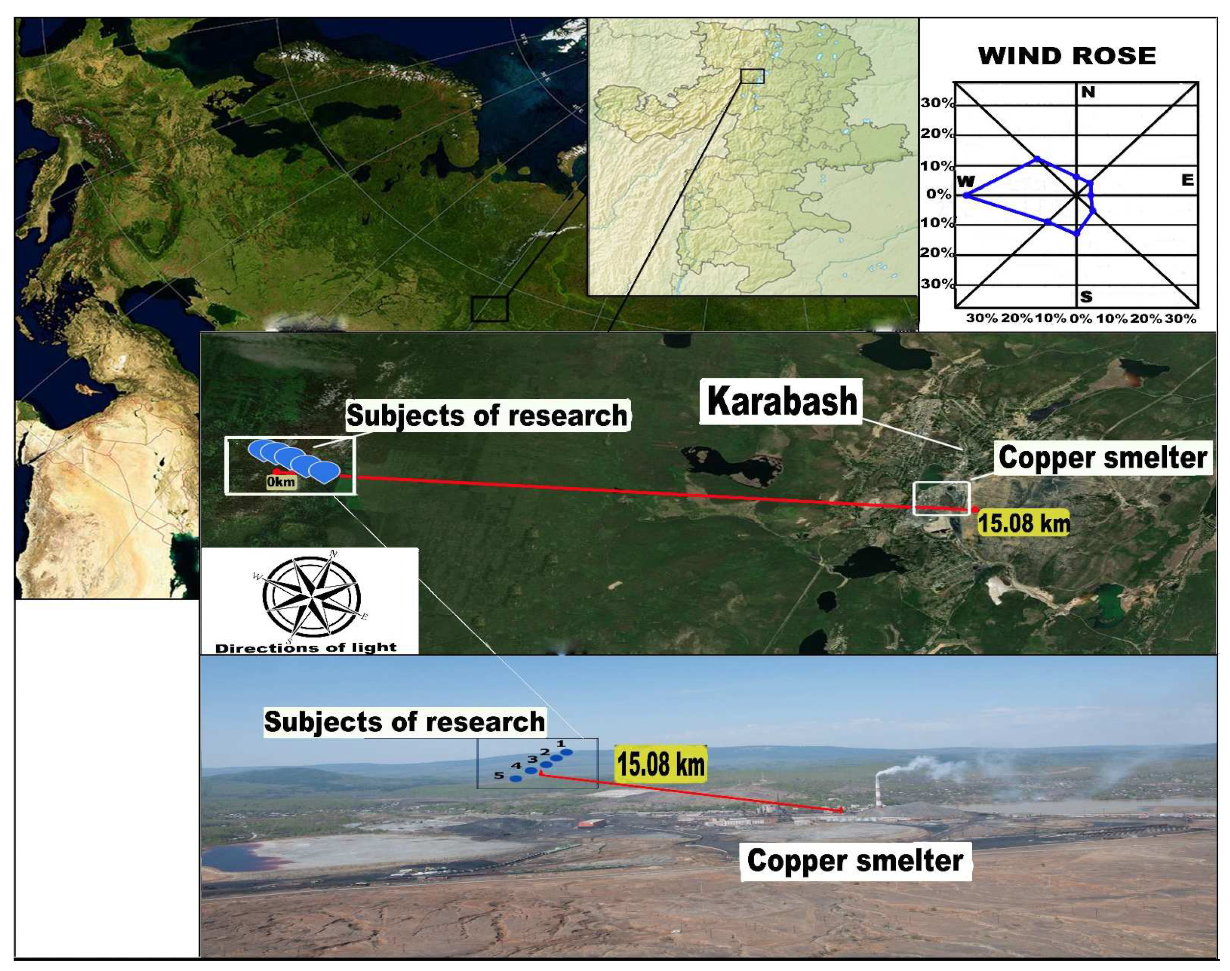 Forests 14 00632 g001 Forests 14 00632 g001