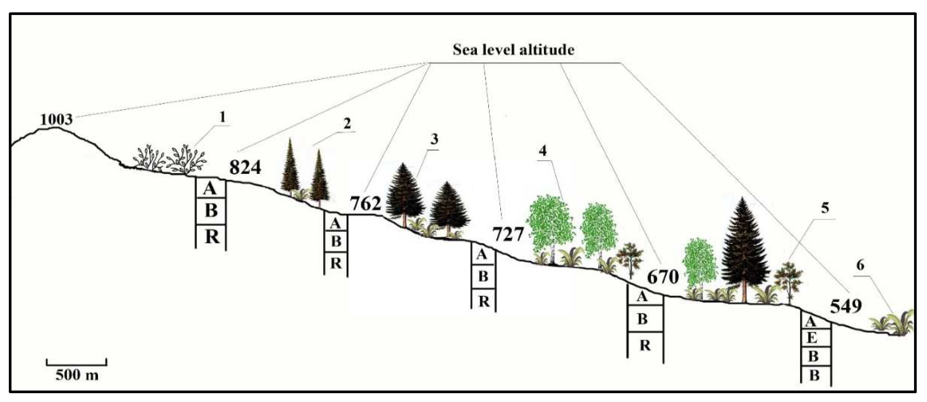 Forests 14 00632 g002 Forests 14 00632 g002