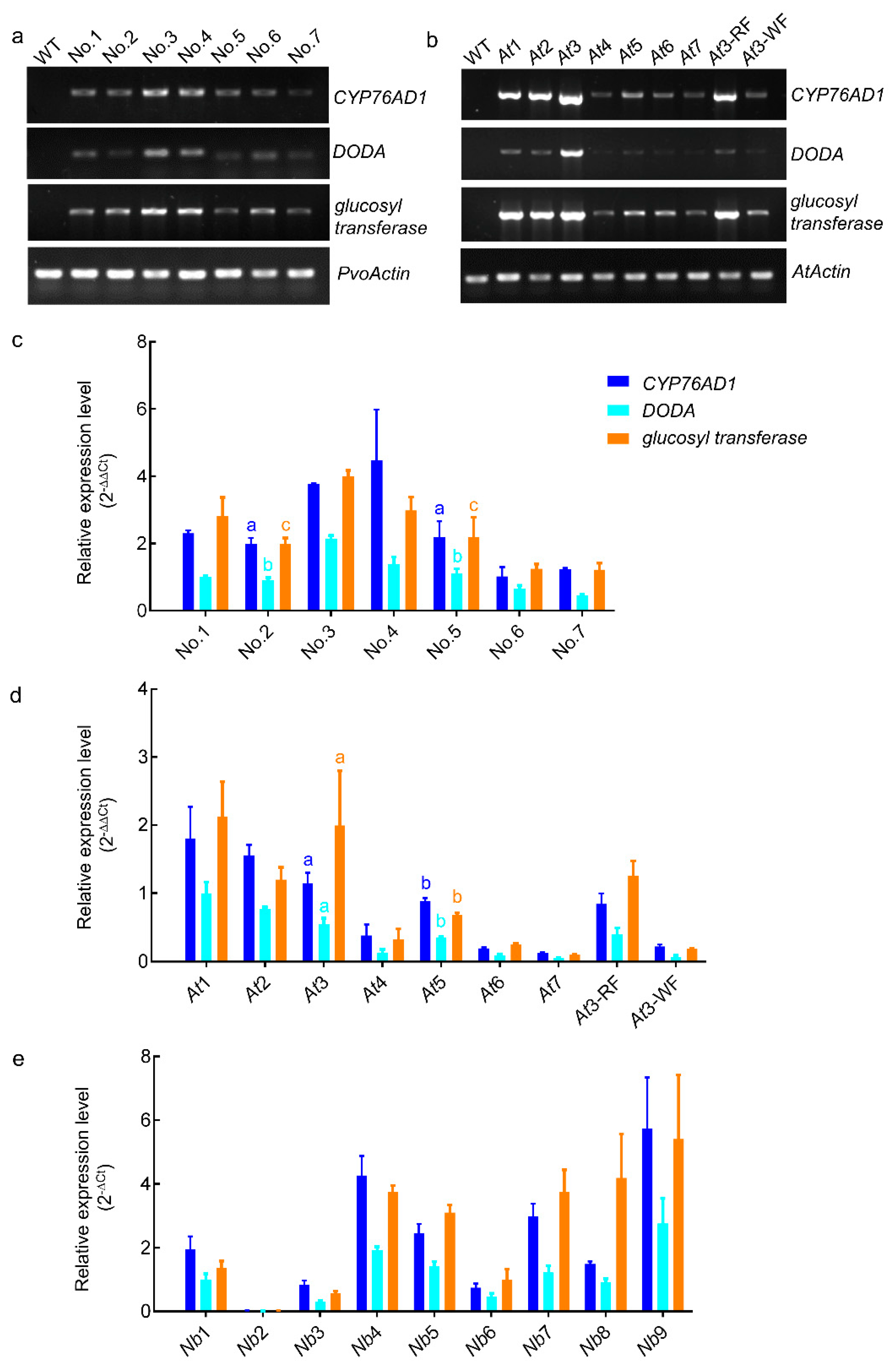 Forests 14 00637 g005