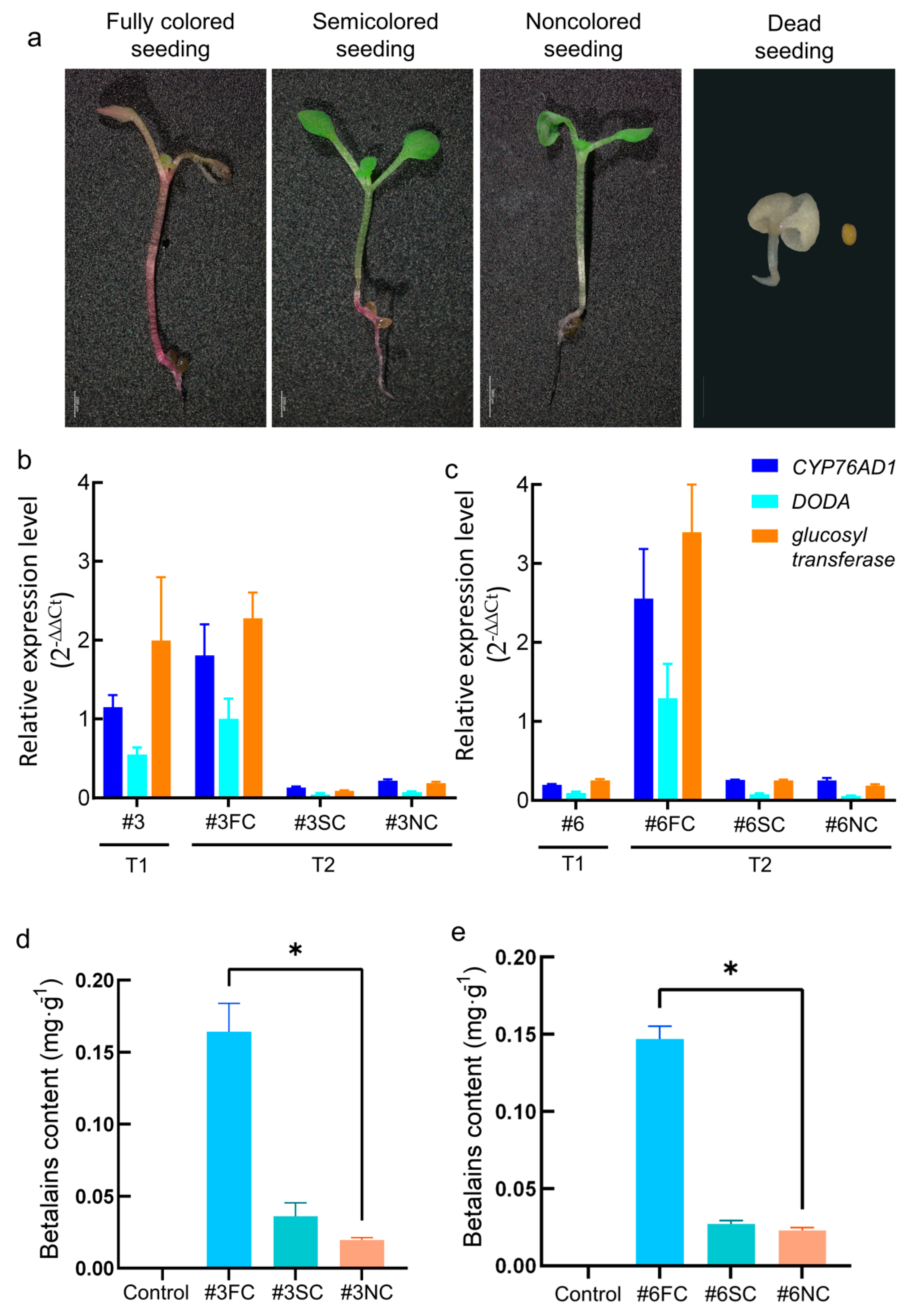 Forests 14 00637 g006