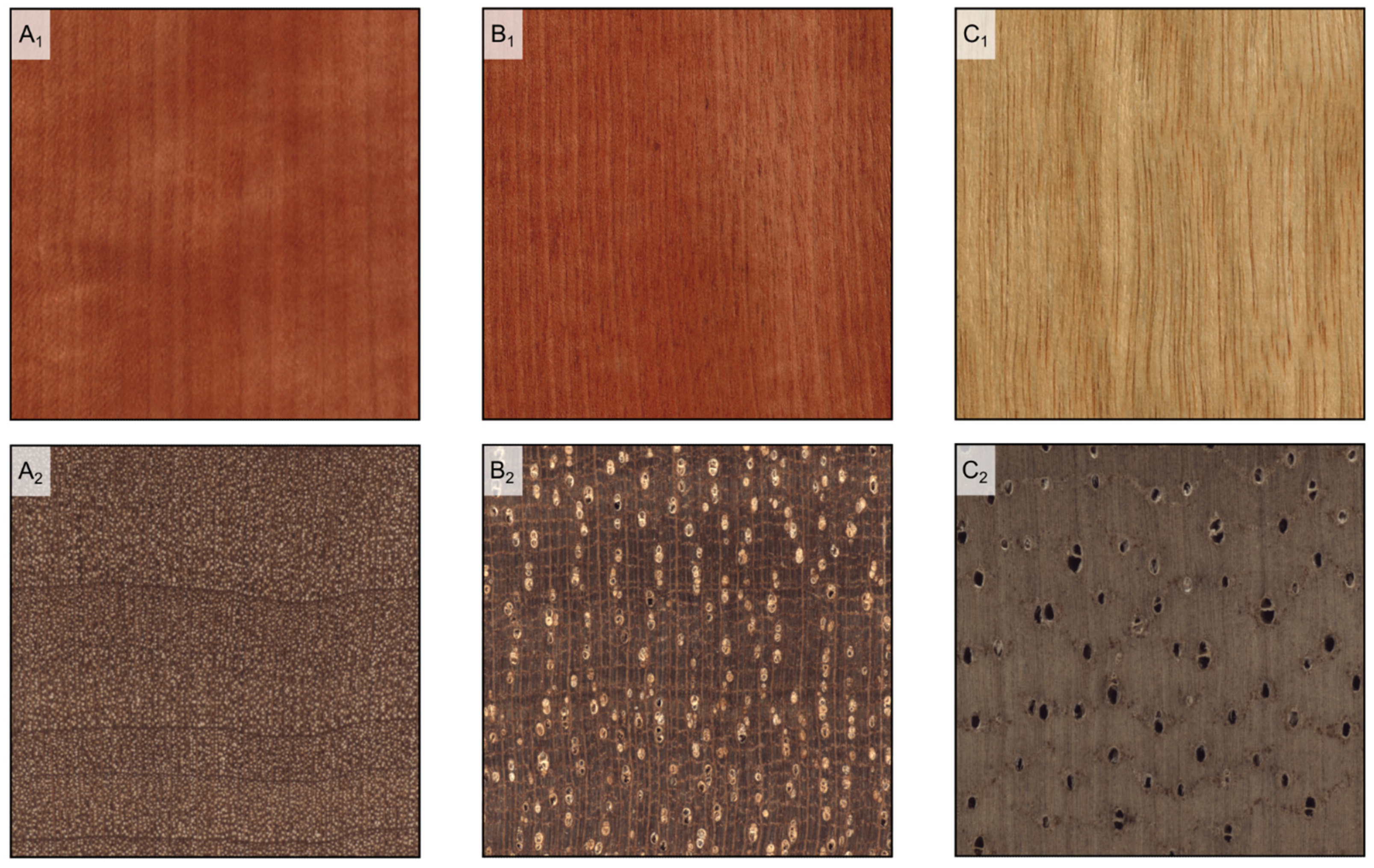 Forests 14 00644 g003