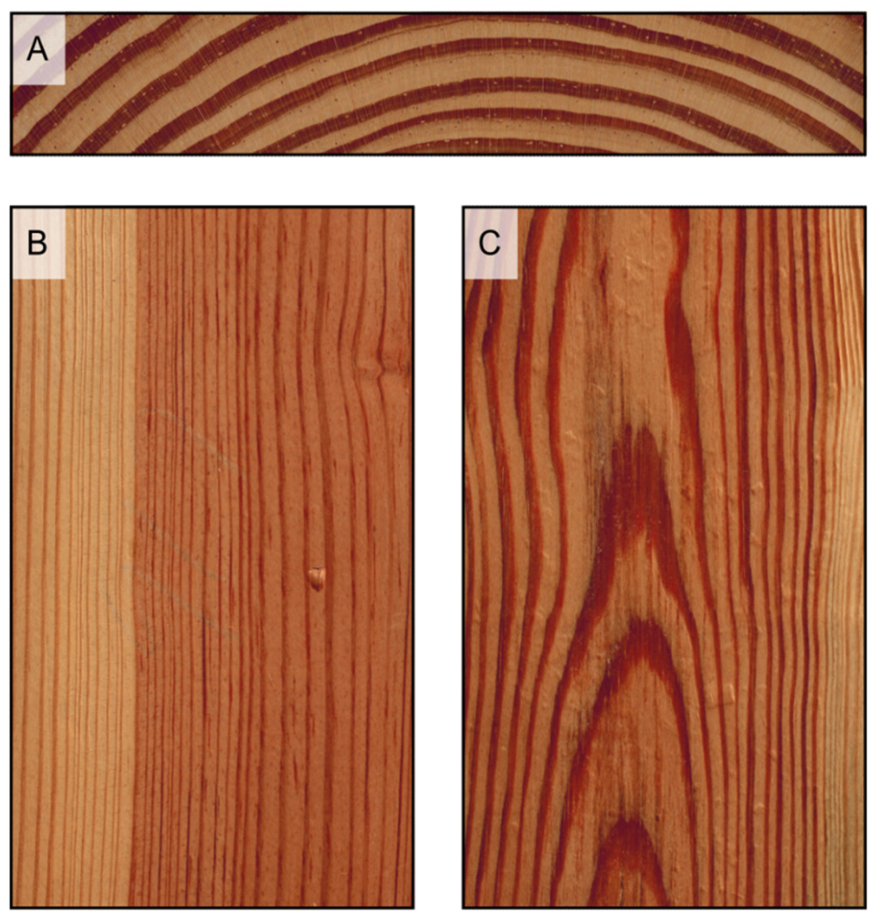 Forests 14 00644 g004